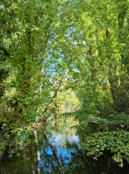 Paseo Del Rio Duero, Soria