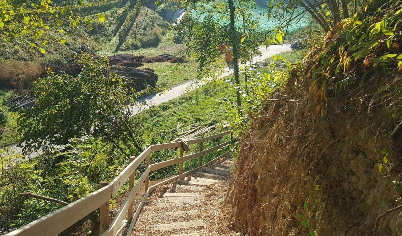 Sentier Botanique Du Mont Vully