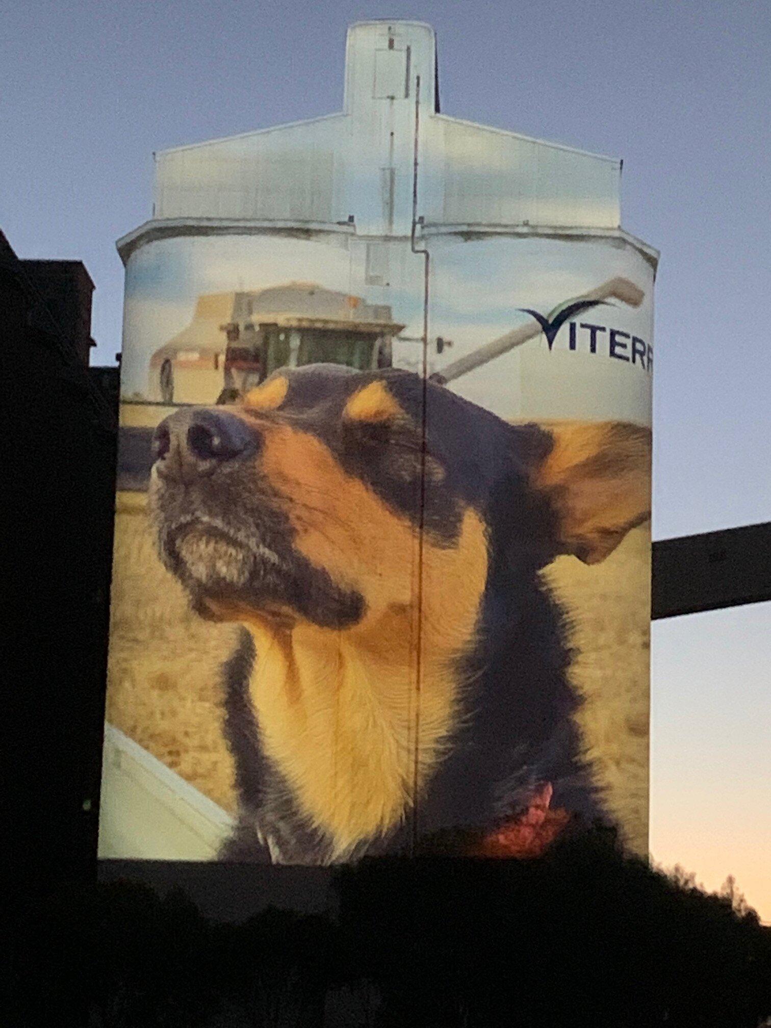 Wallaroo Silo Light Show