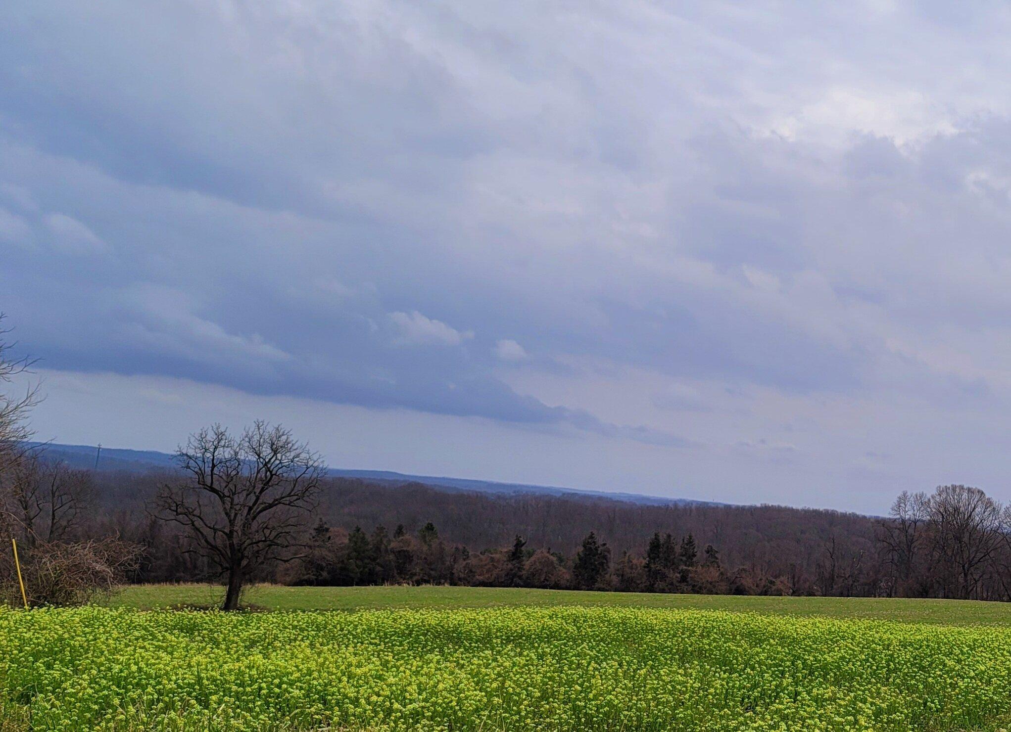 Photo by 703BillB703