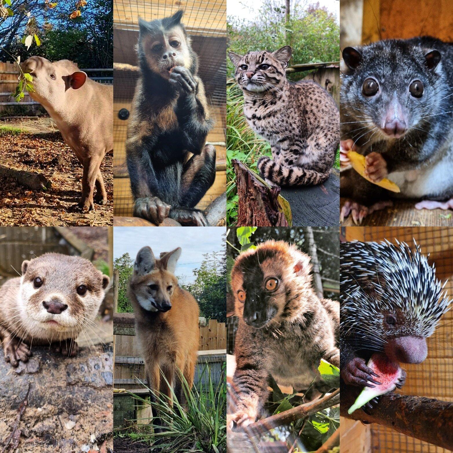 Hemsley Conservation Centre