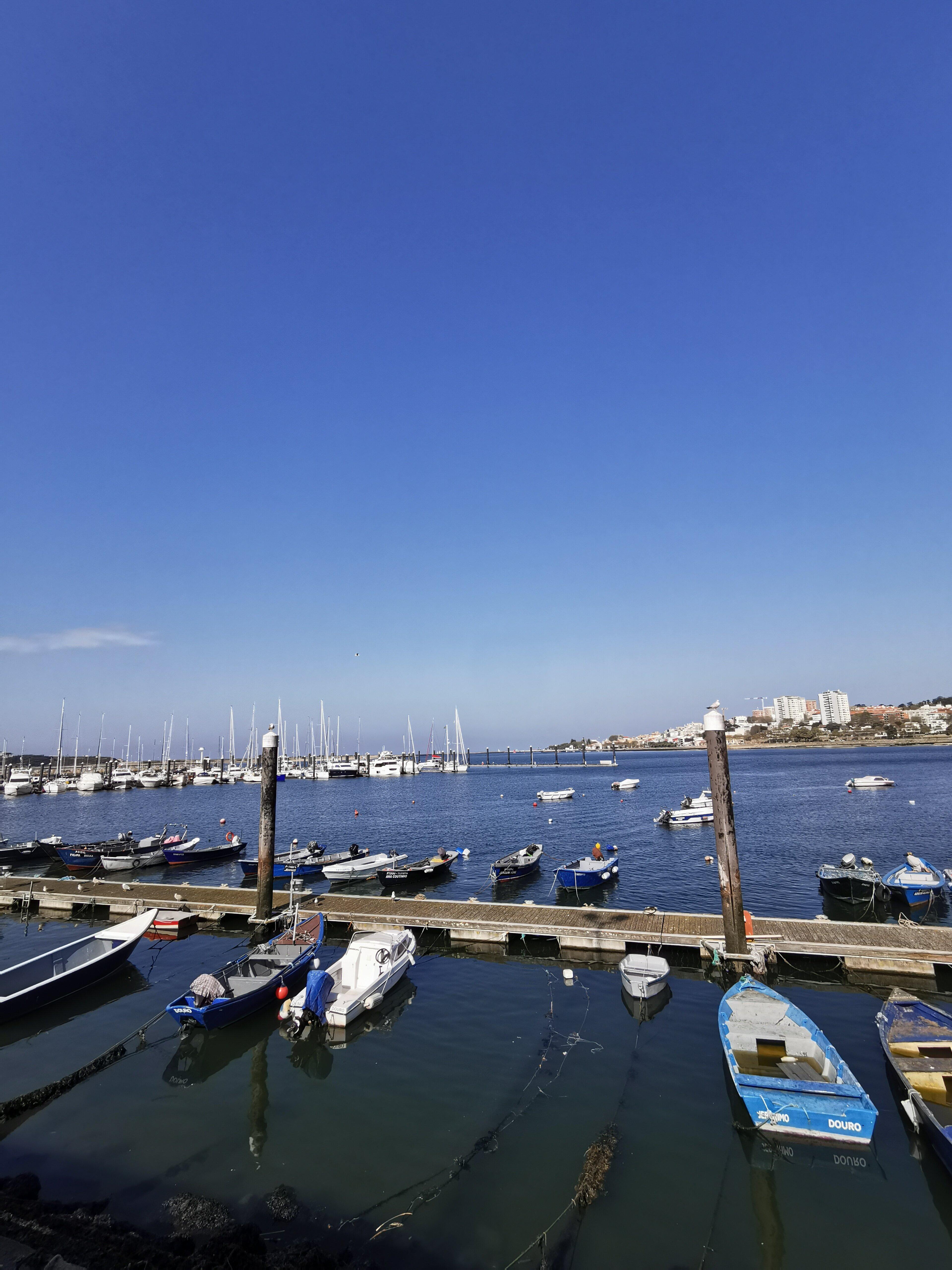 Douro Gourmet By Douro Captain