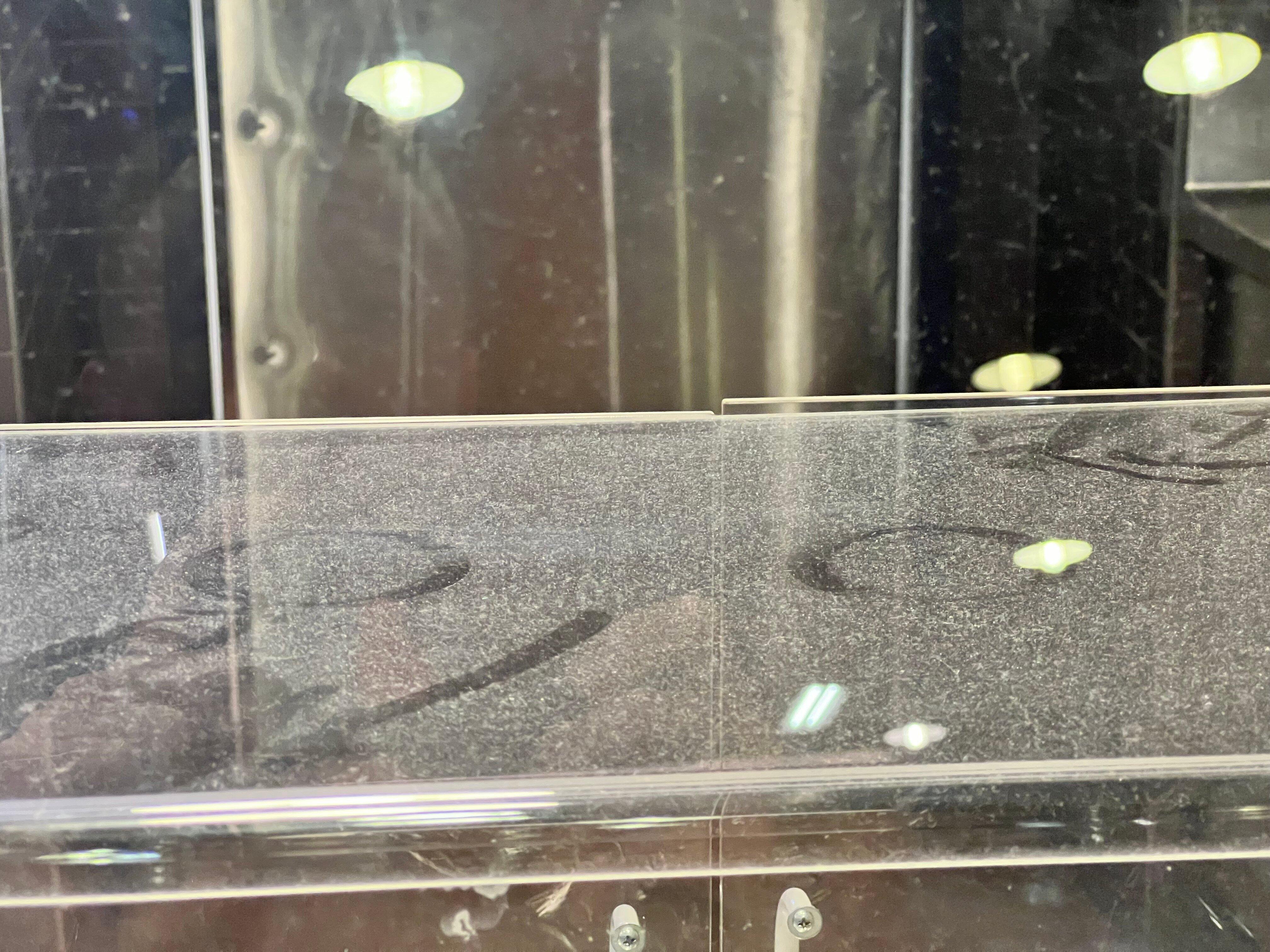 Photo by joepB1189LU