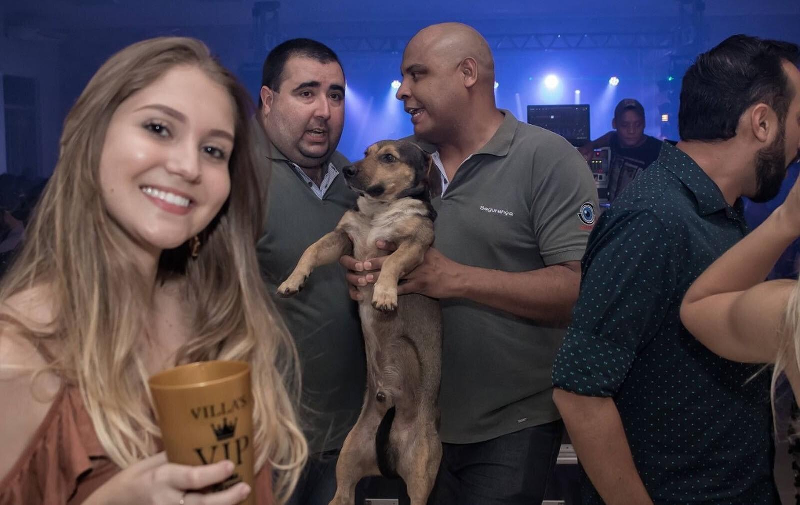 Scale and Feather Bar