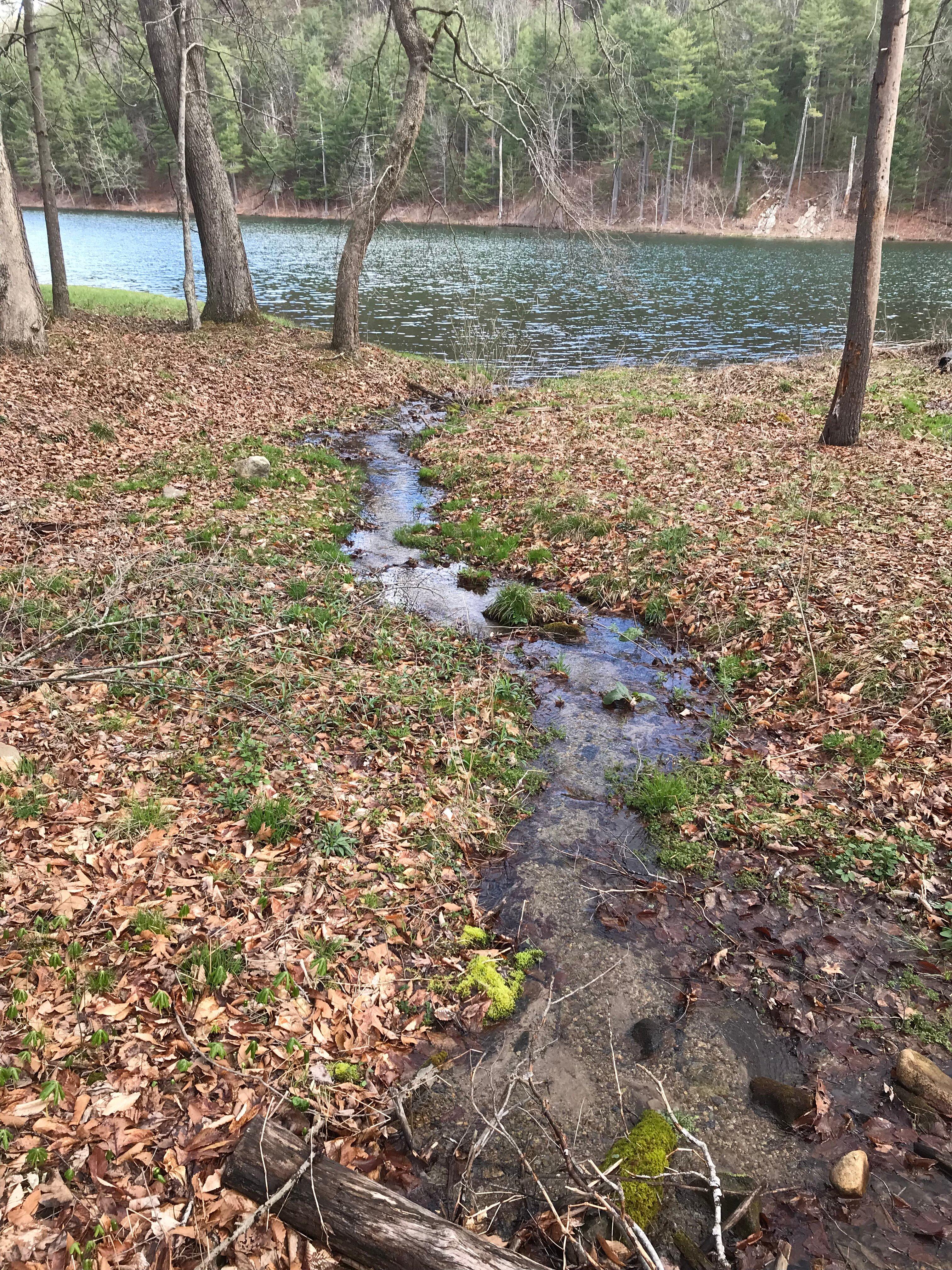 Lake Arrowhead Recreation Park