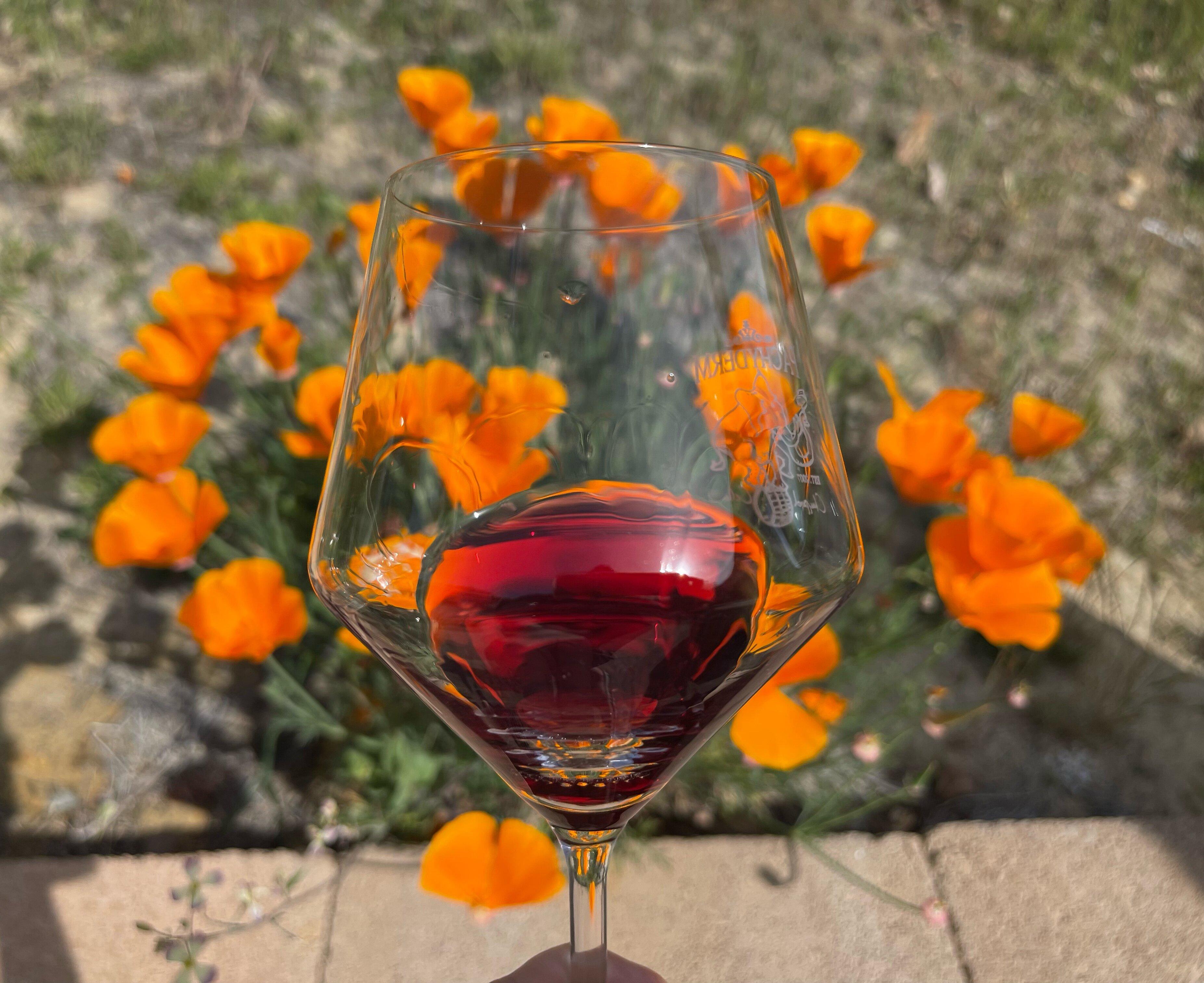 Photo by sarahstierch