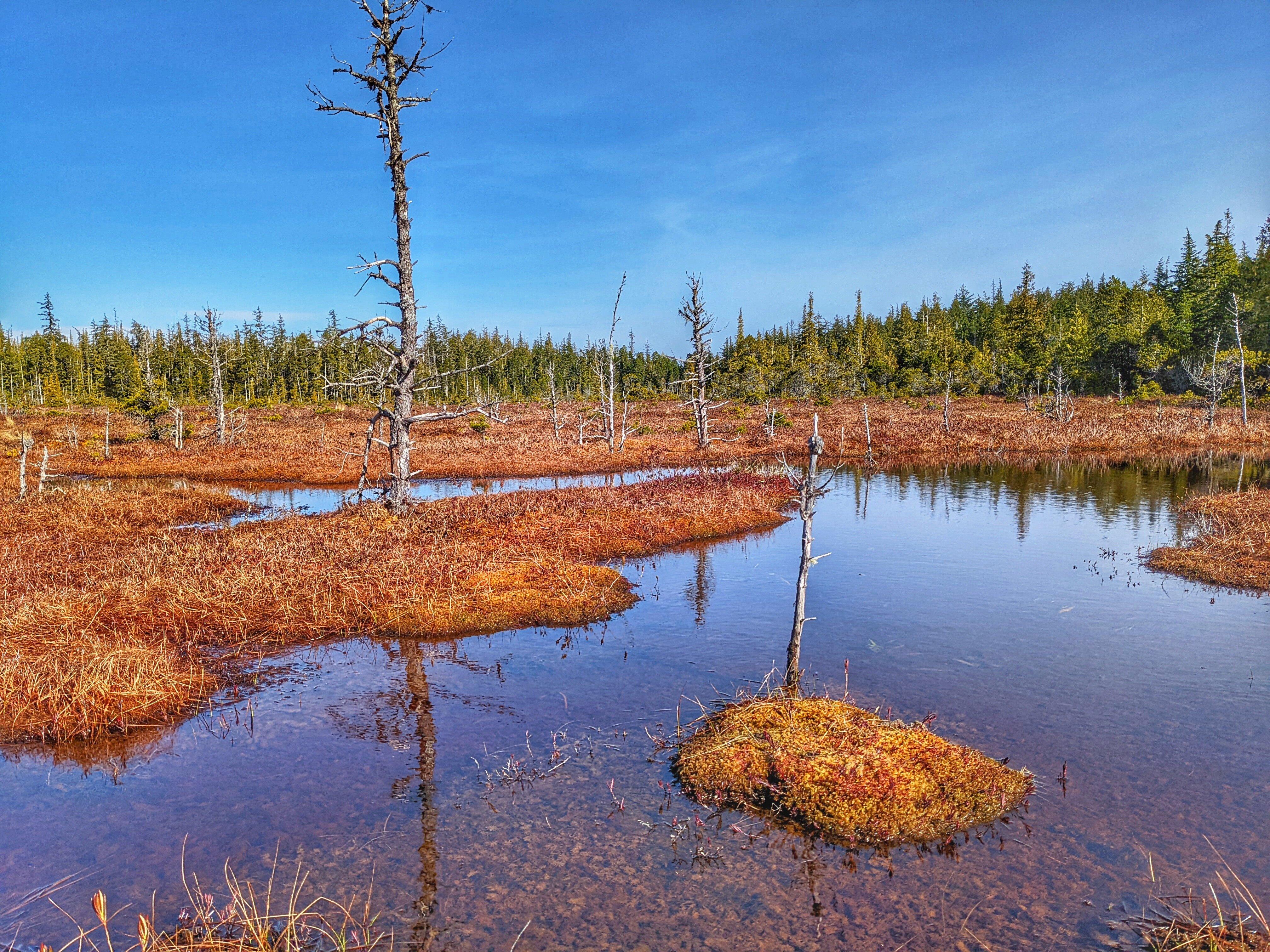 Nadu Homestead Trail