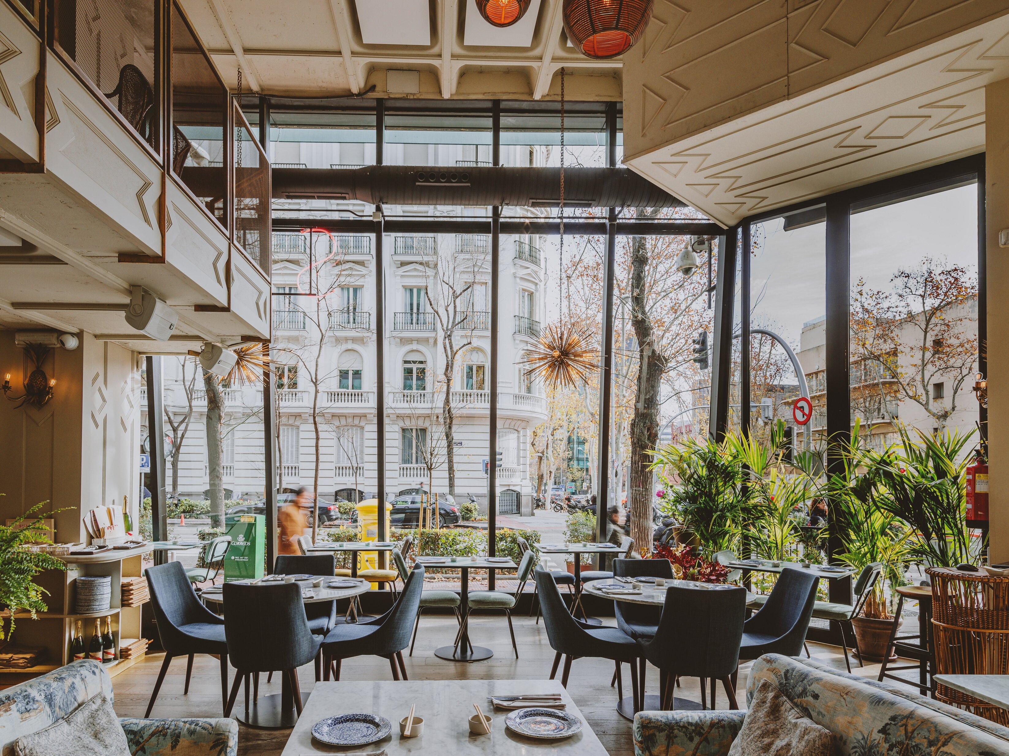 Sushita Café - Miguel Ángel