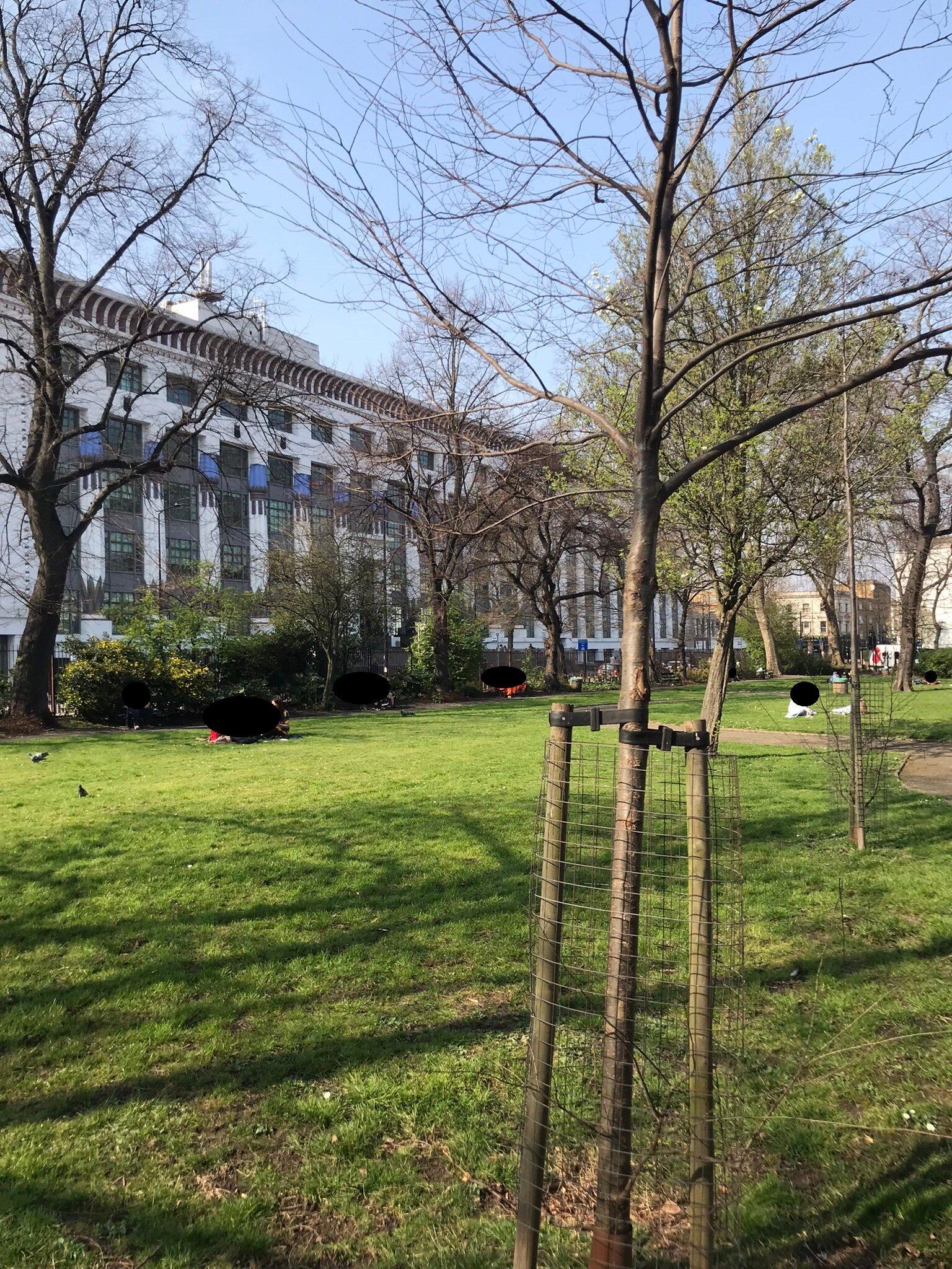 Harrington Square Gardens