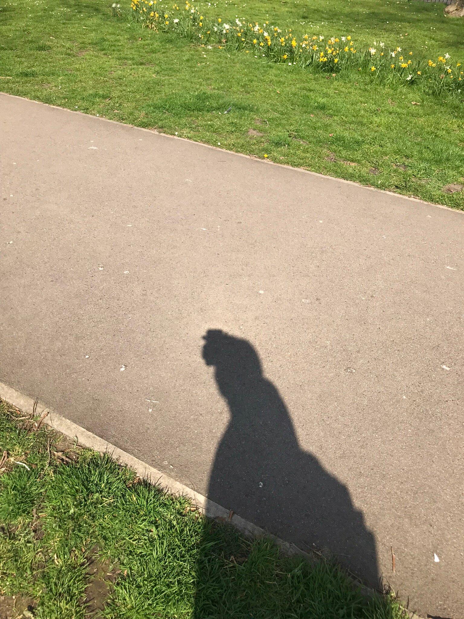 Goldington Crescent Gardens