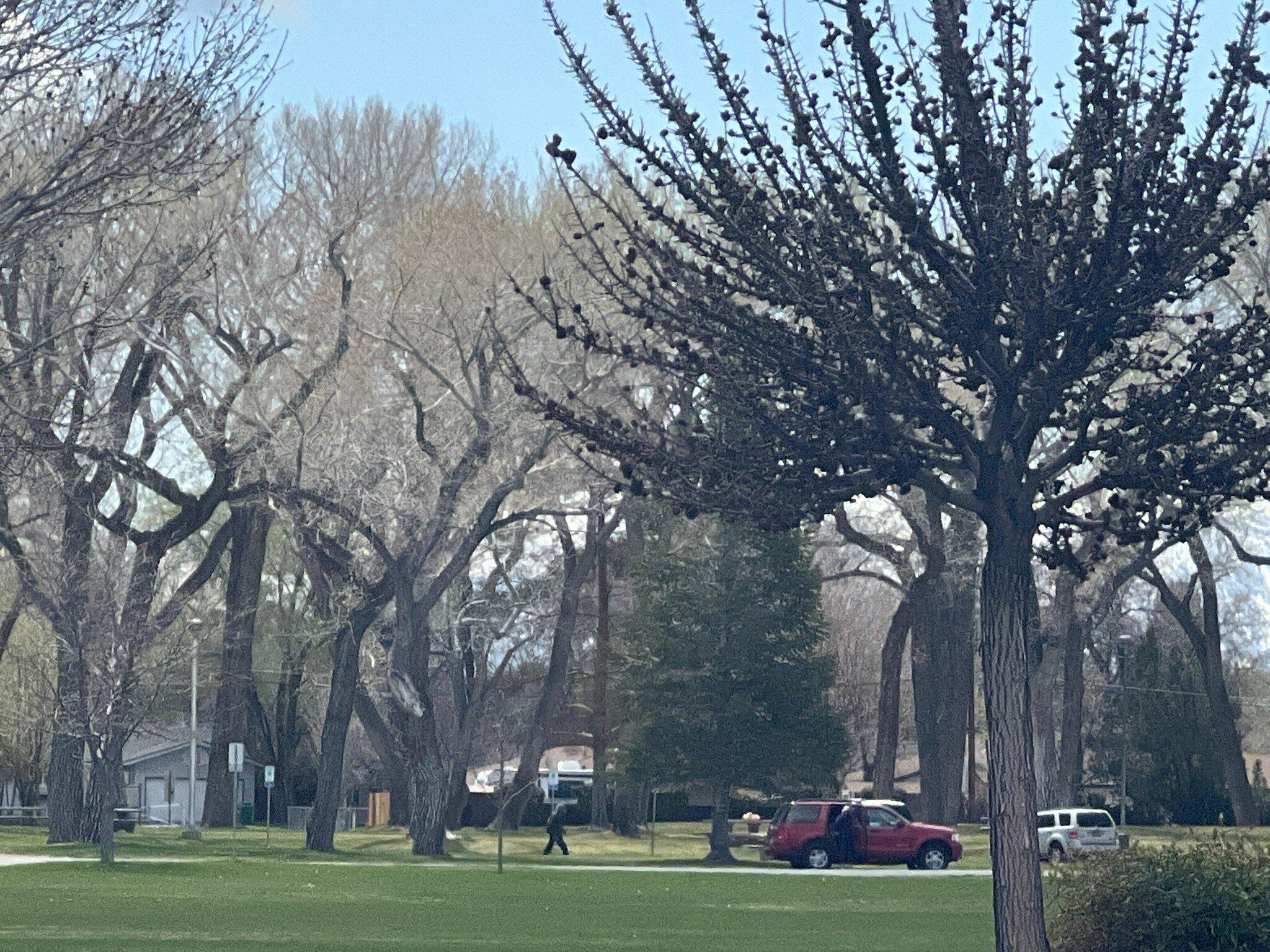 Photo by StephenCr0ss