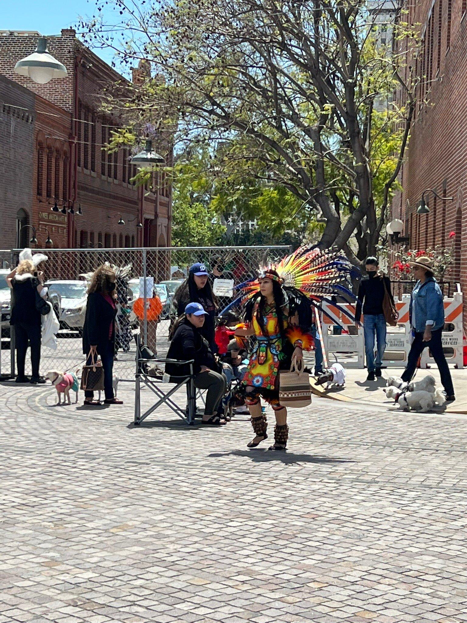 Photo by Carolinelomeli