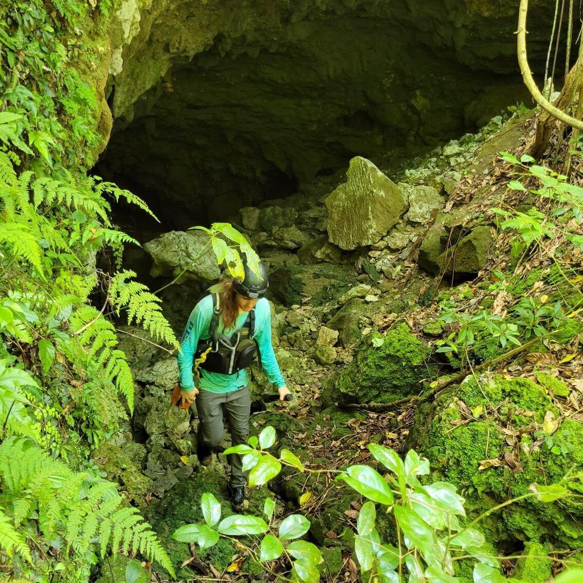 Krystal River Sanctuary