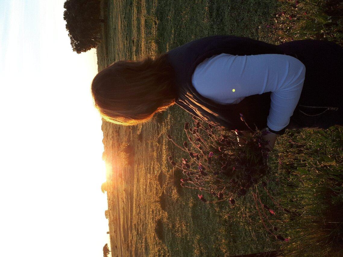 Casa Rural El Tenado