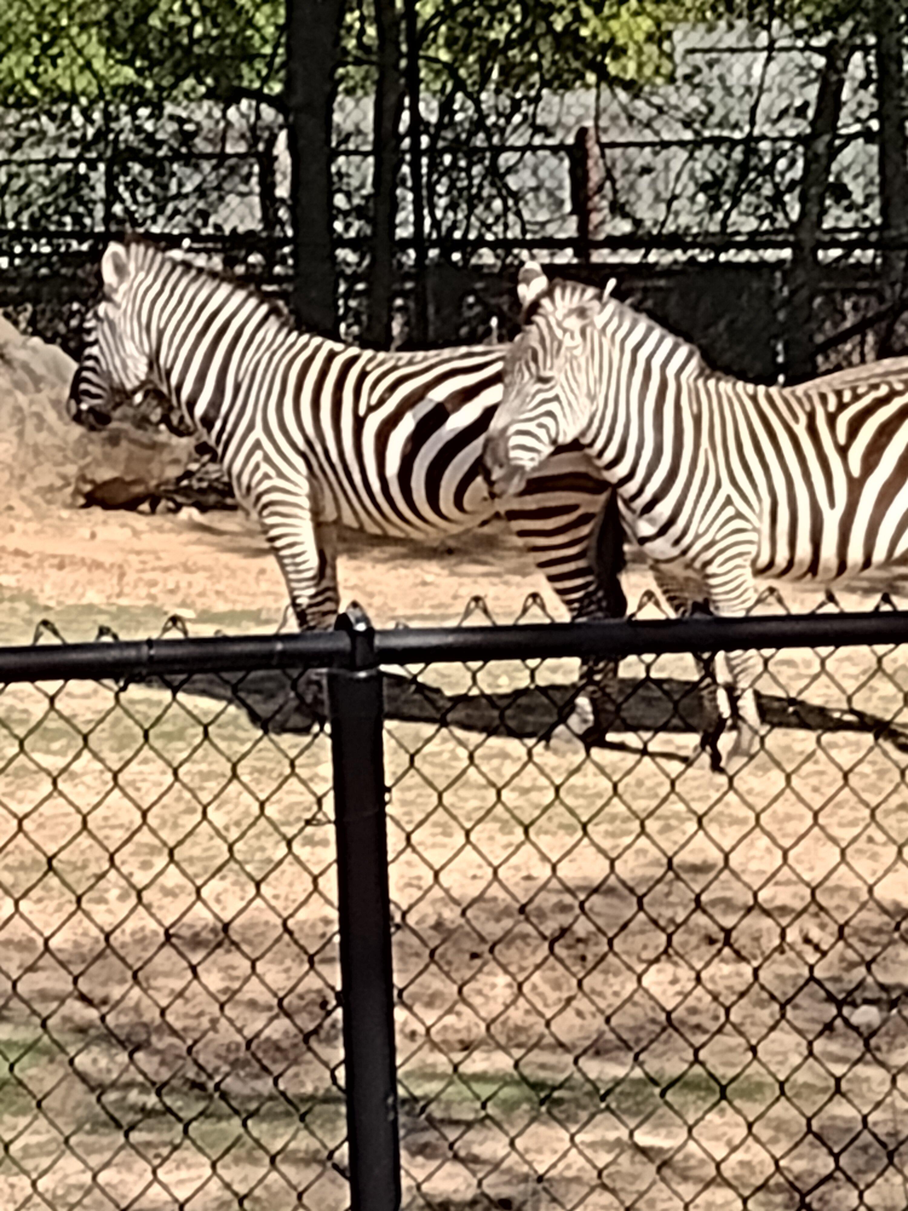 Photo by Avaricegautier