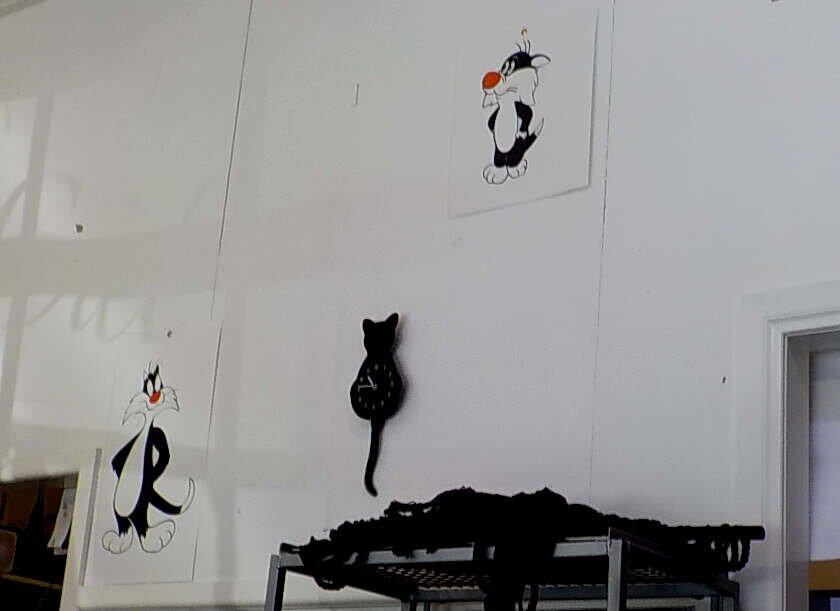 The Black Cat Cake Shop