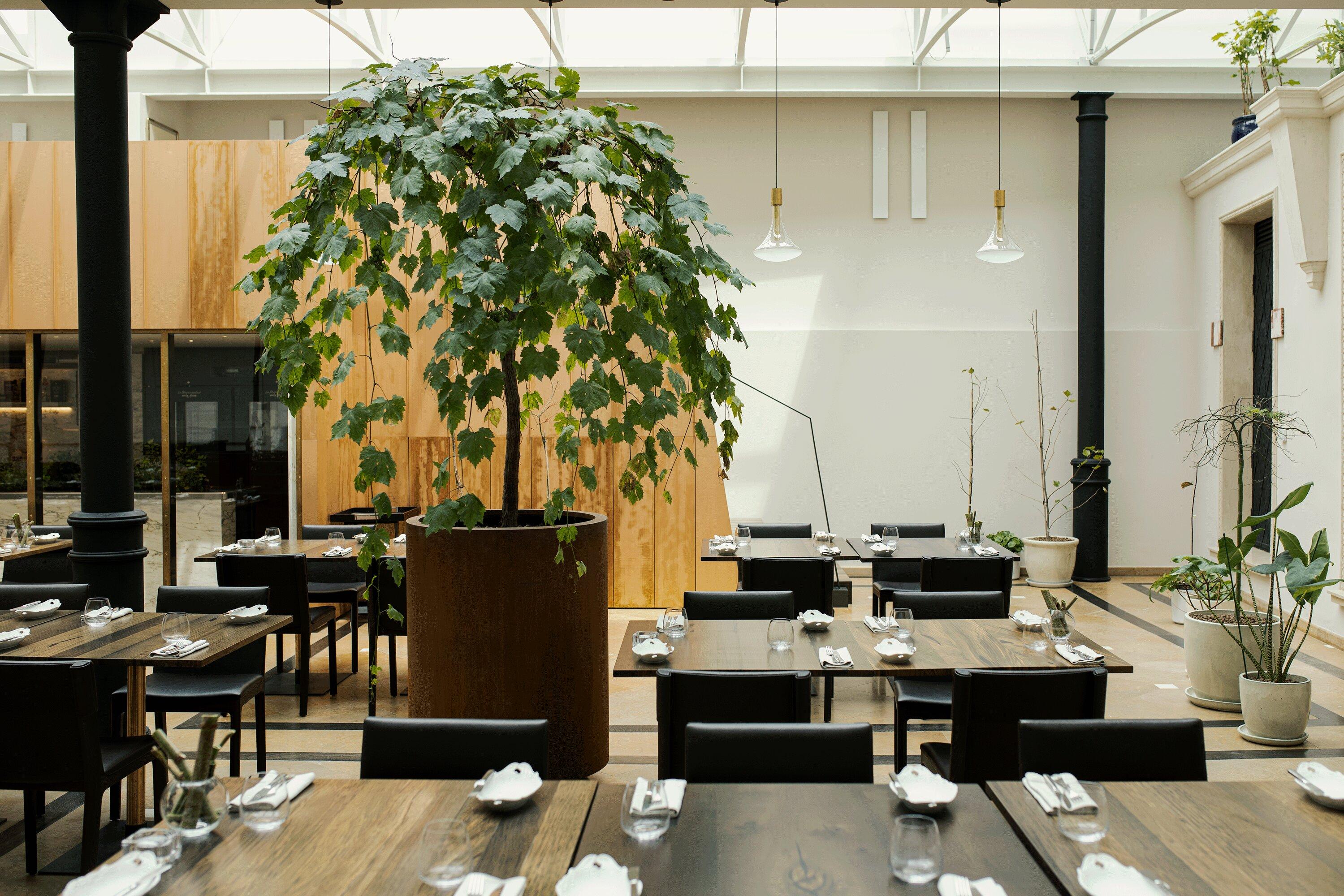 Restauracja Pod Różą