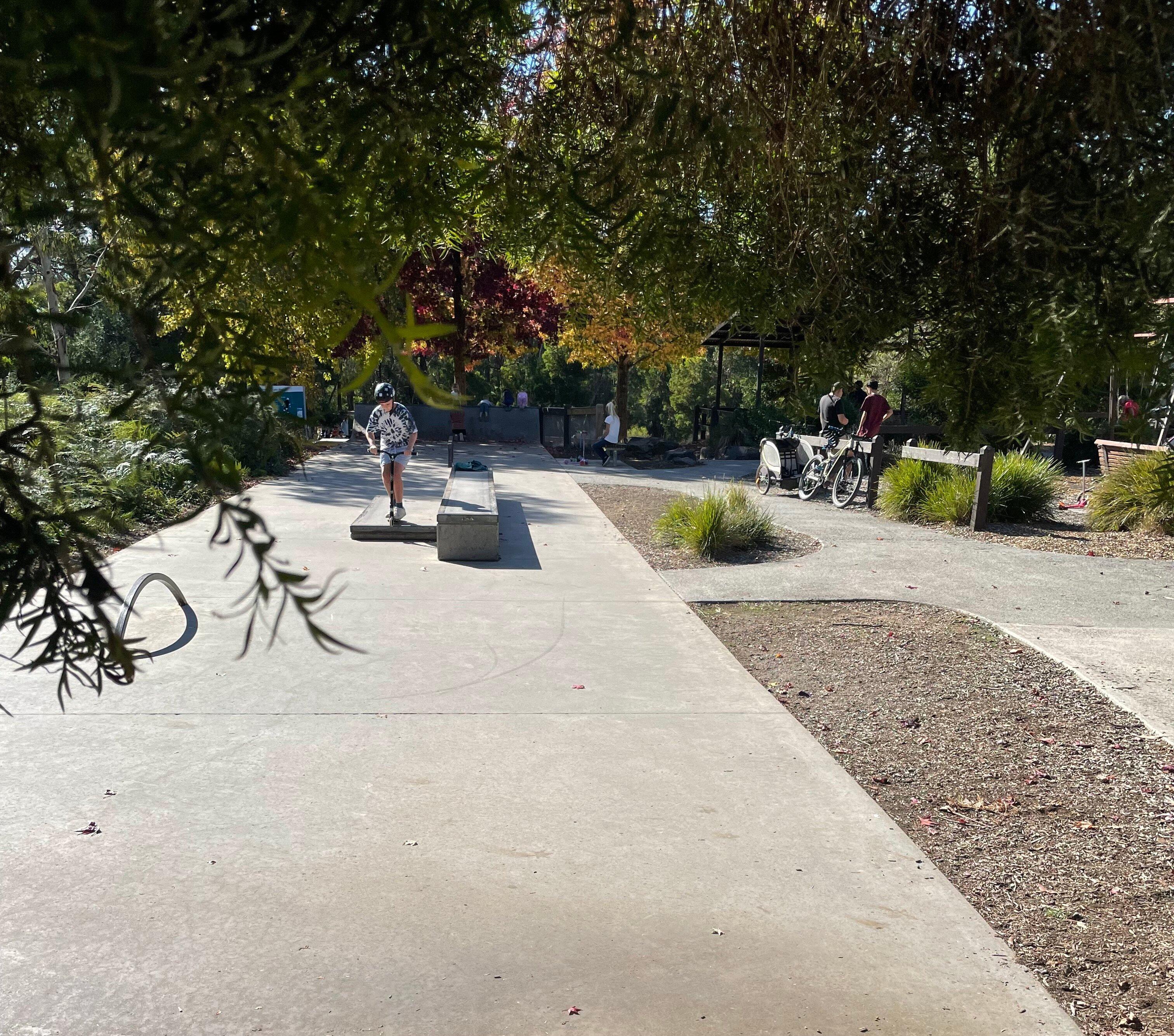 Skate Park And Playground