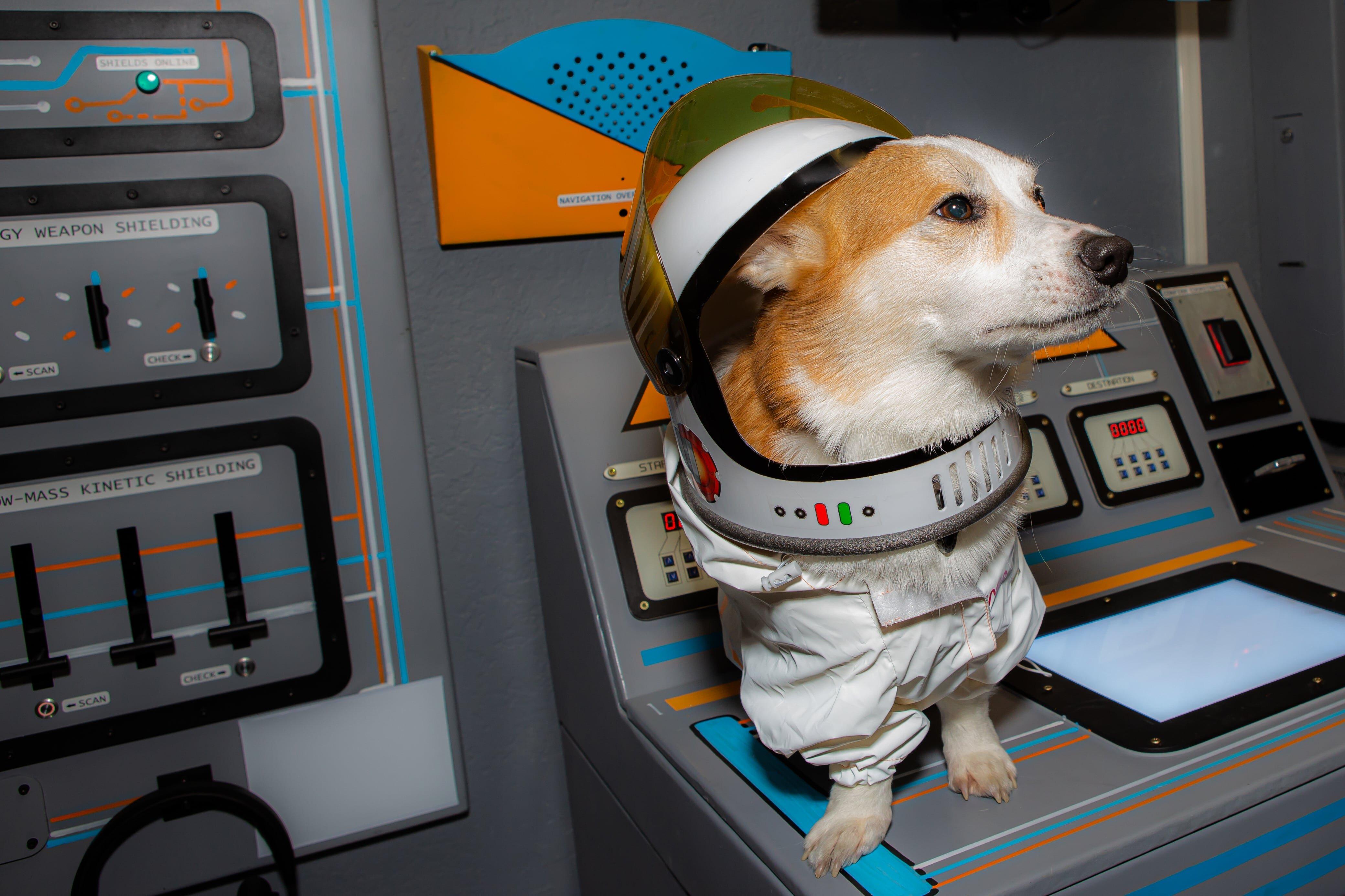 Cluemaster Escape Rooms