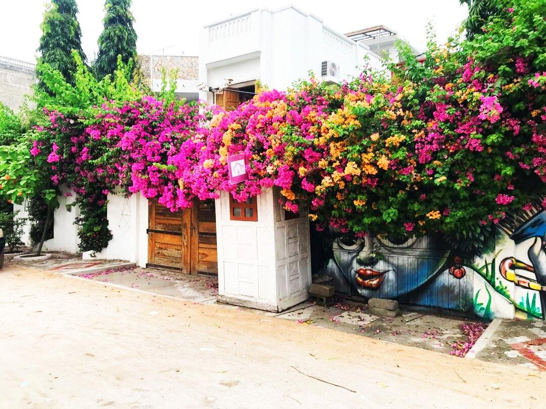 La Maison de Canelya