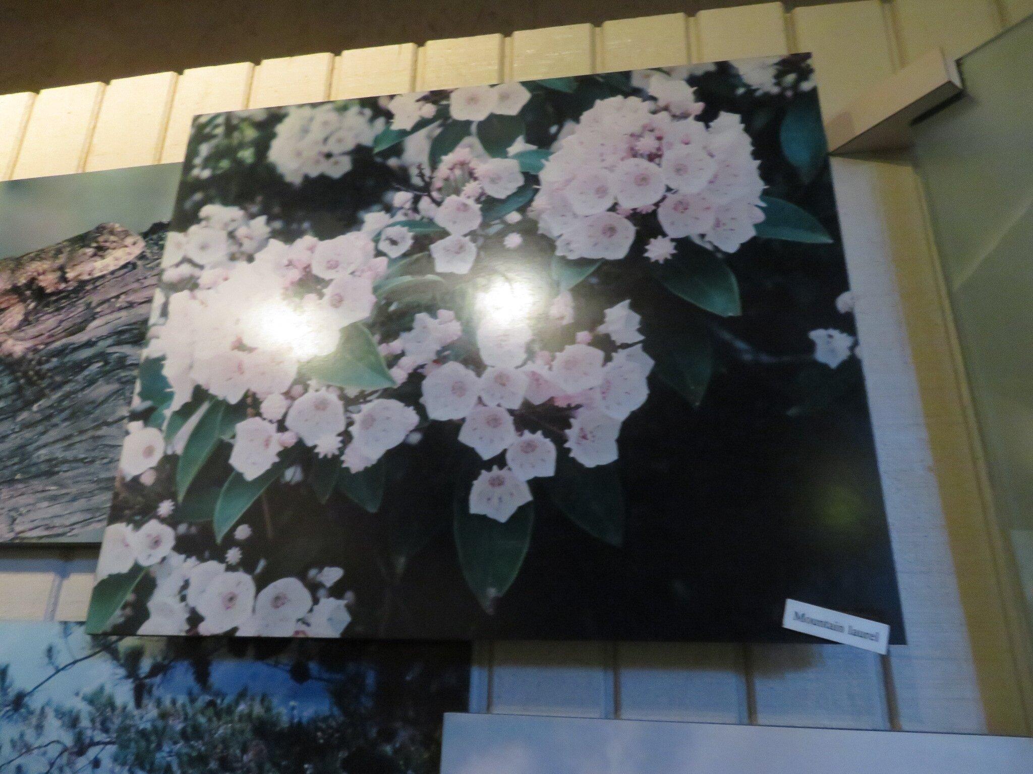 Jane Hurt Yarn Interpretive Center