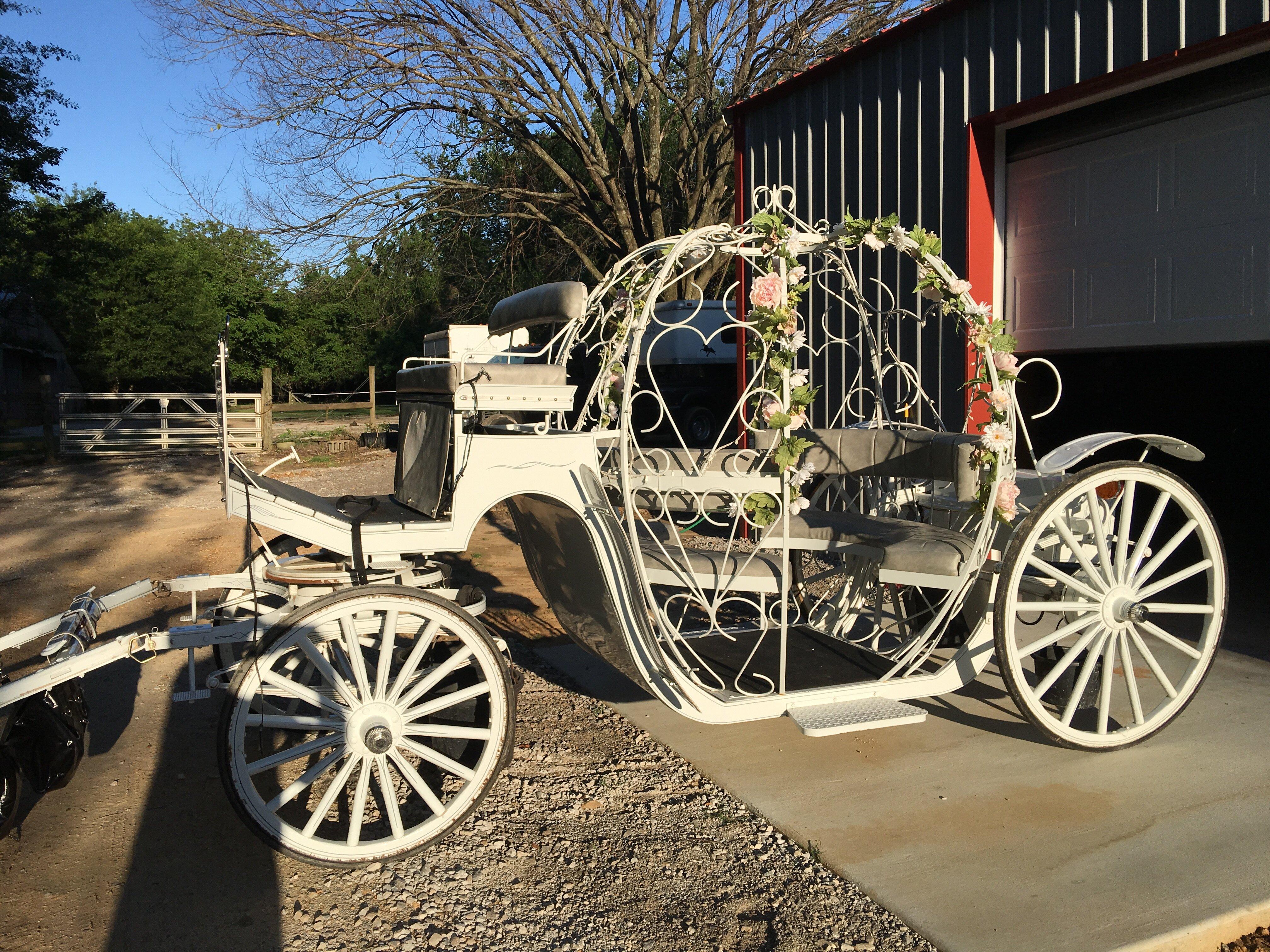 Carriage Tours of Memphis
