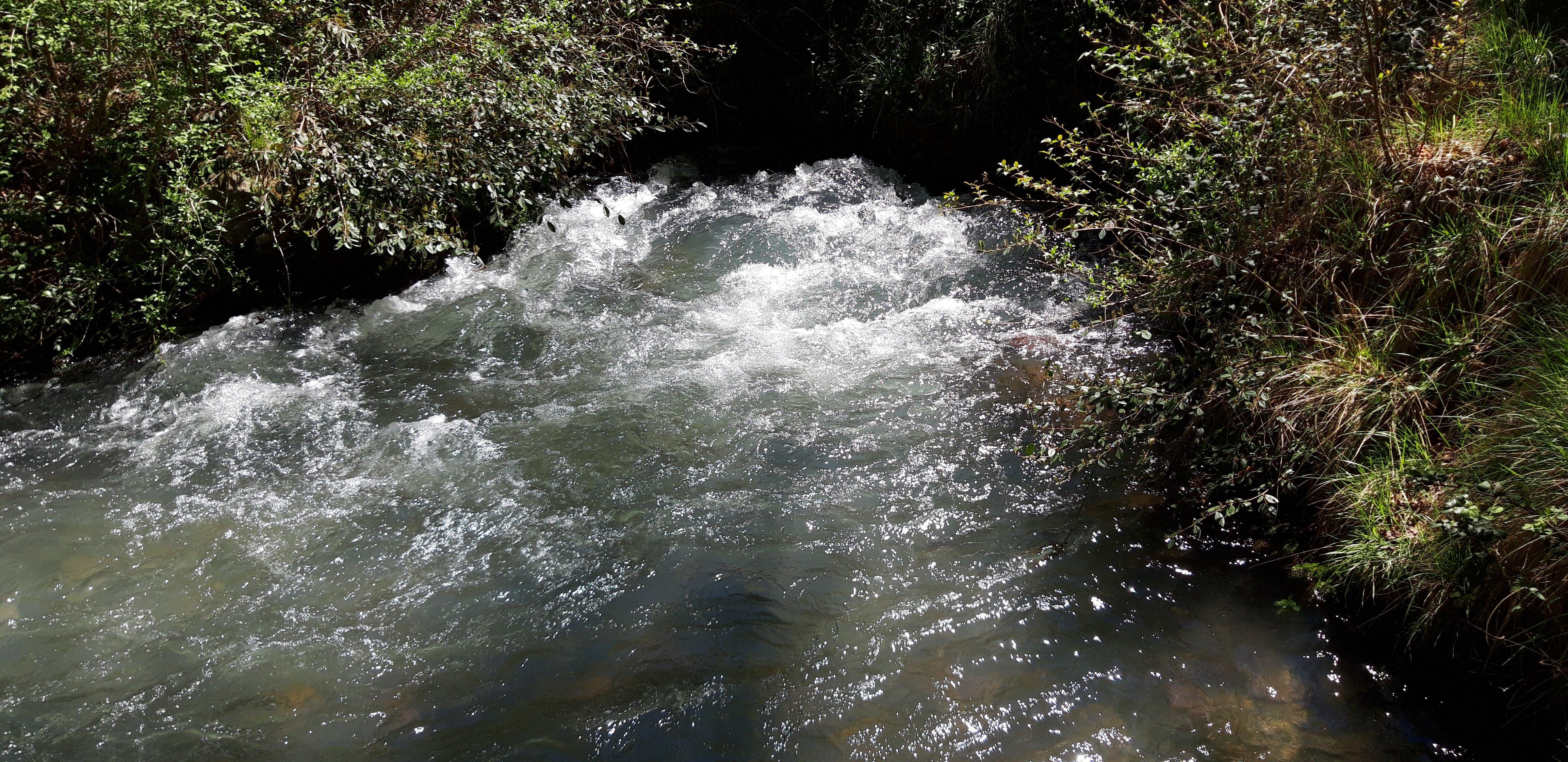 Nacimienti Del Queiles