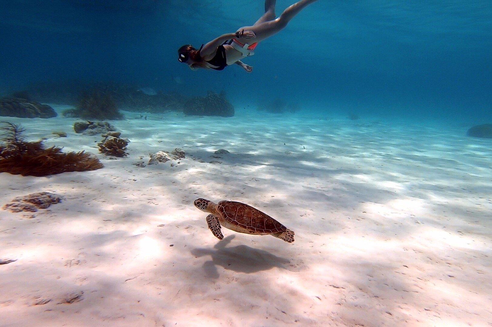 Inner Limits Freediving