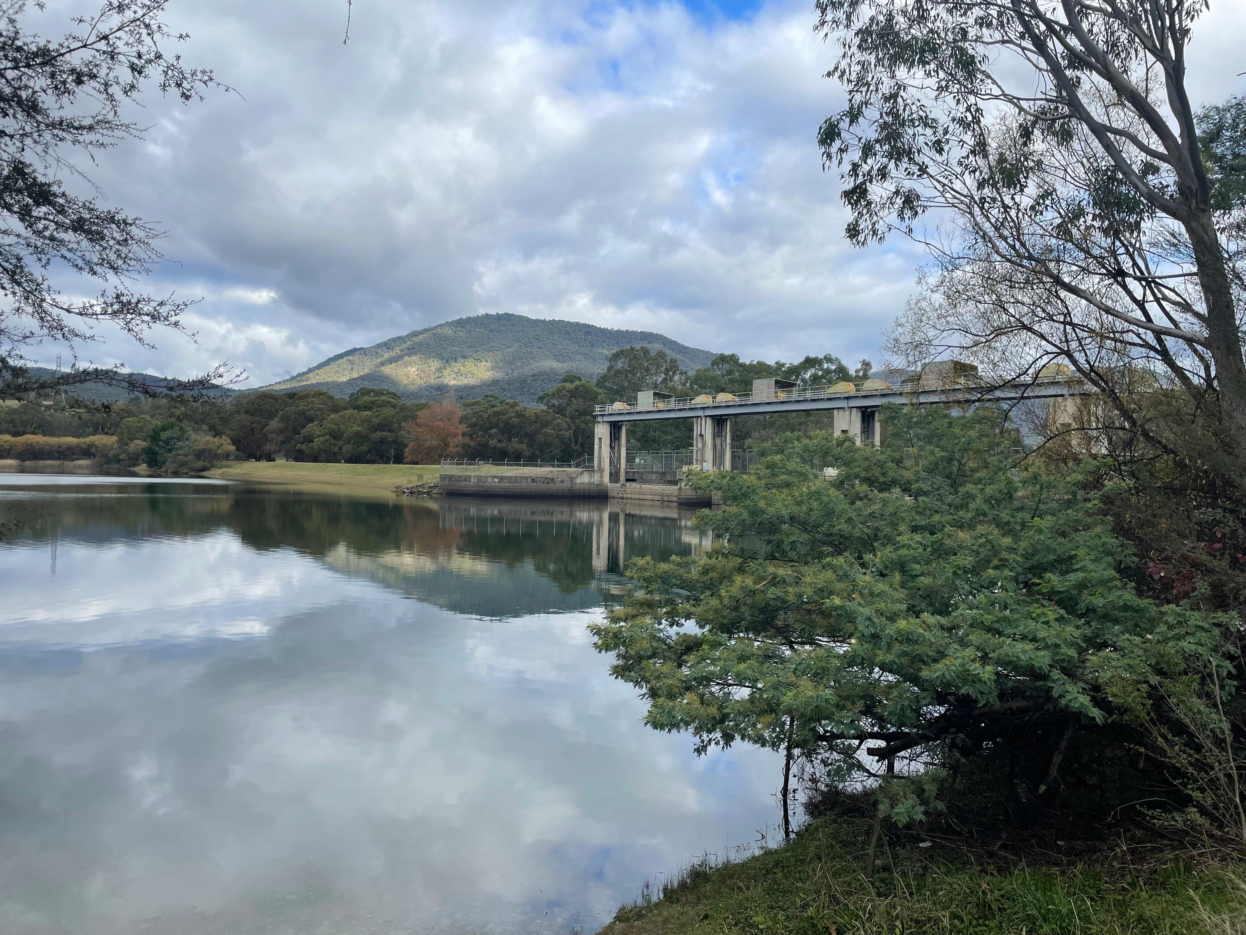 Eildon Pondage Walk