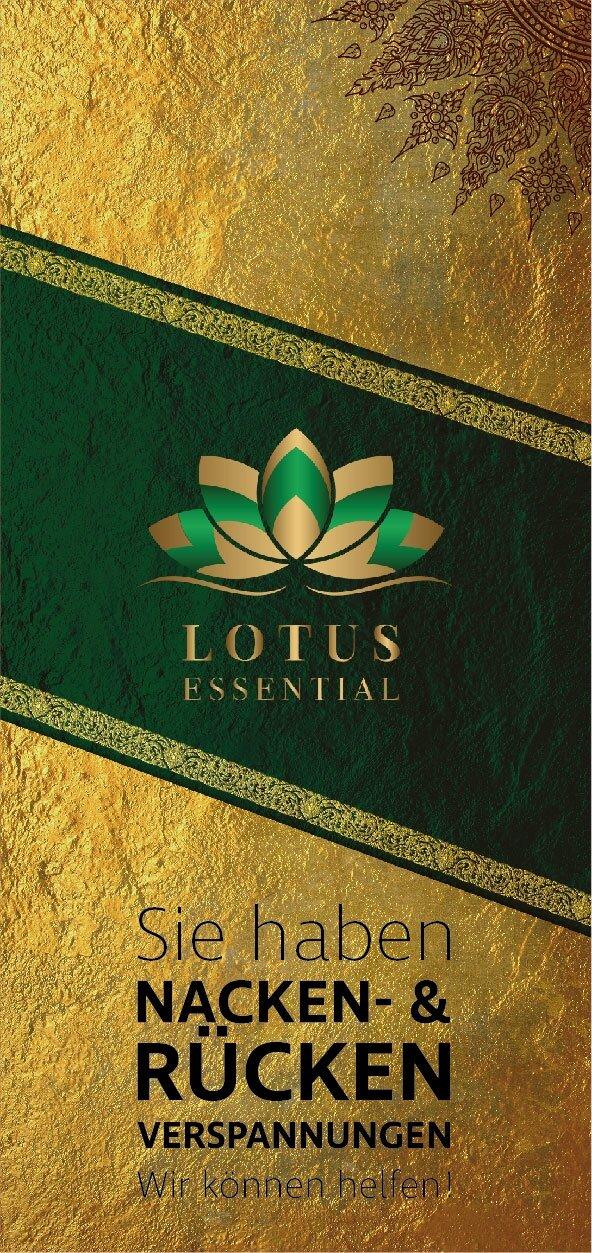 Photo by Trail29599042939