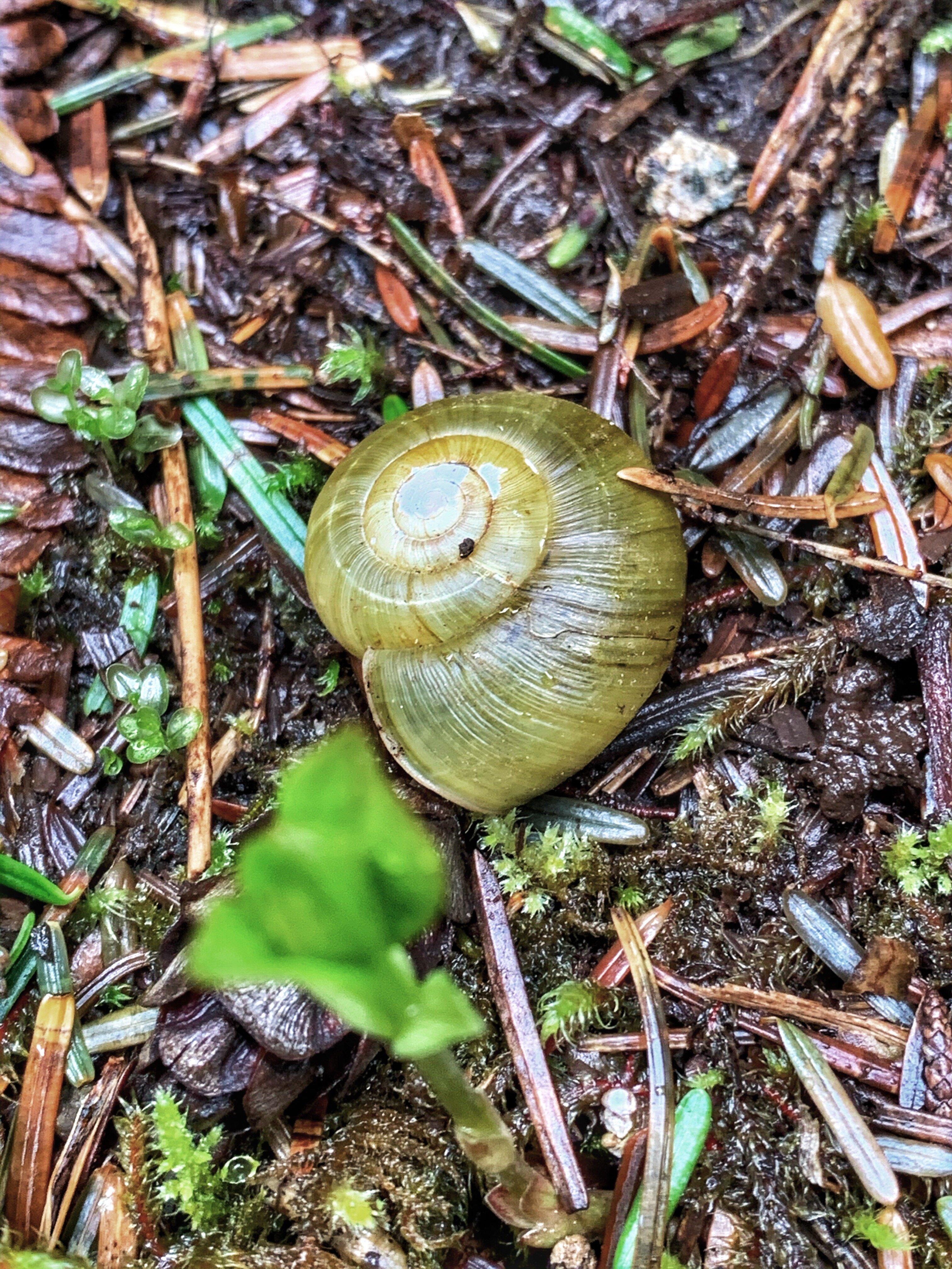 Around The Pond Trail
