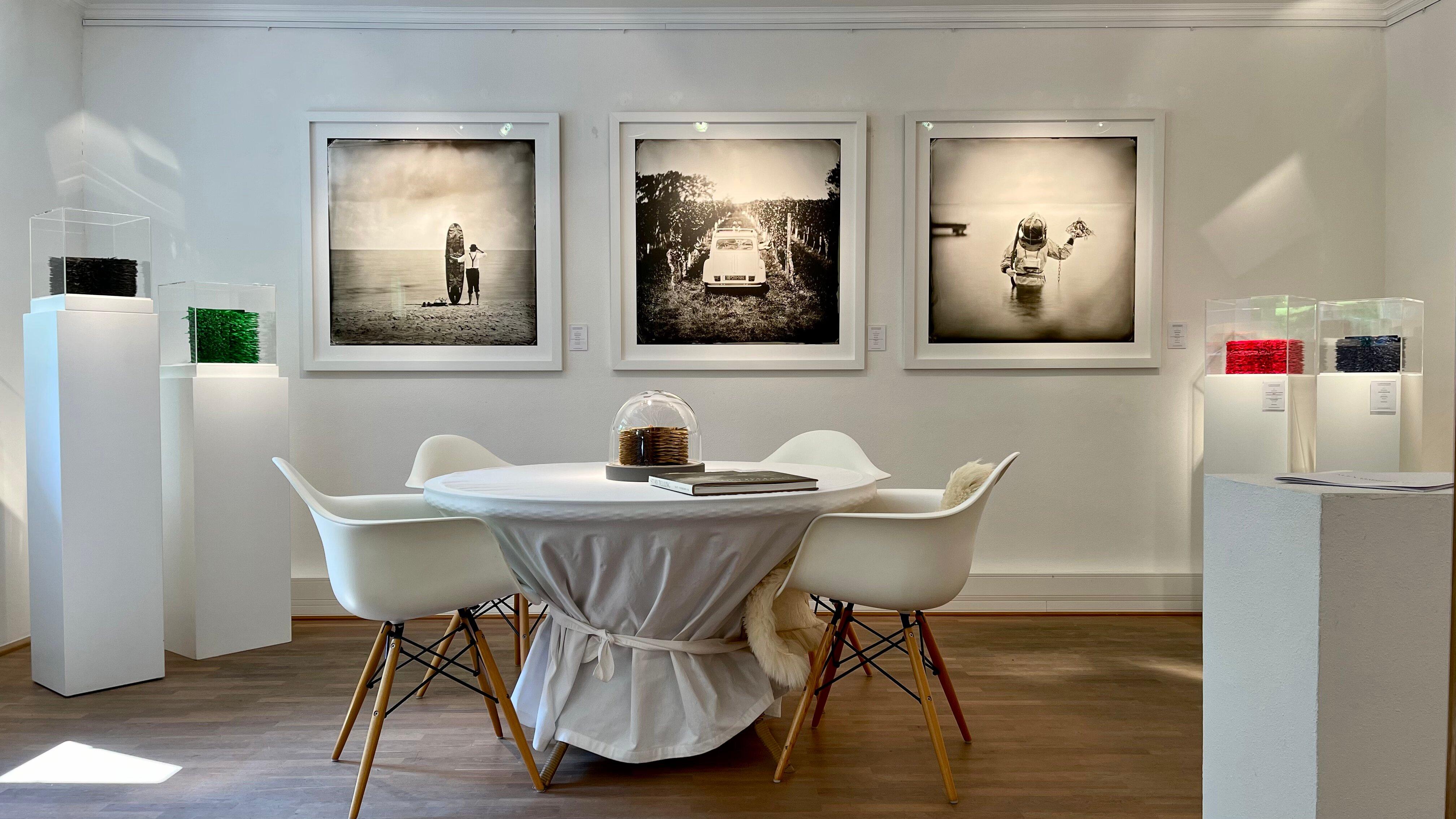 Continuum Gallery, expressive glass & contemporary art