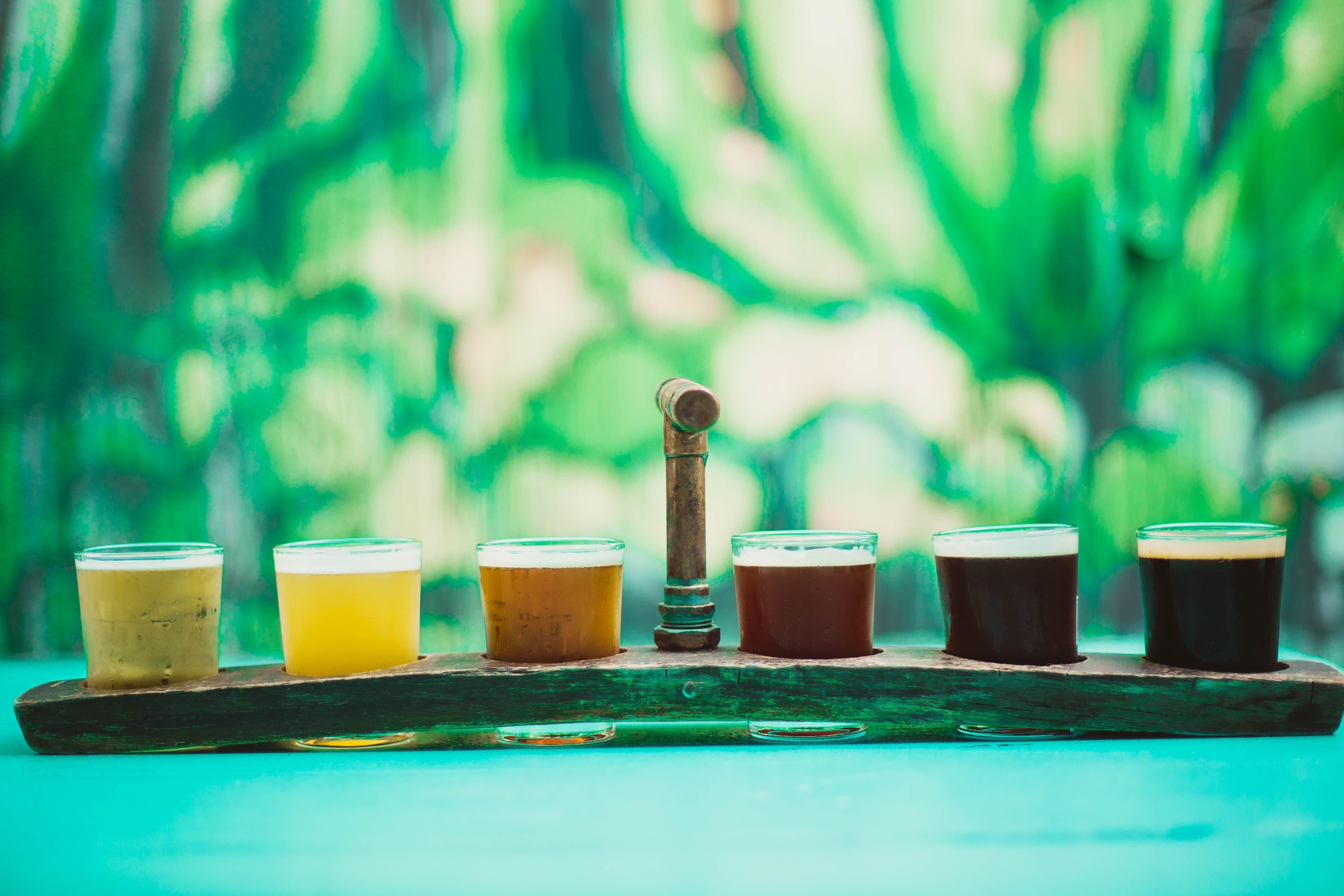 Tropical Brews