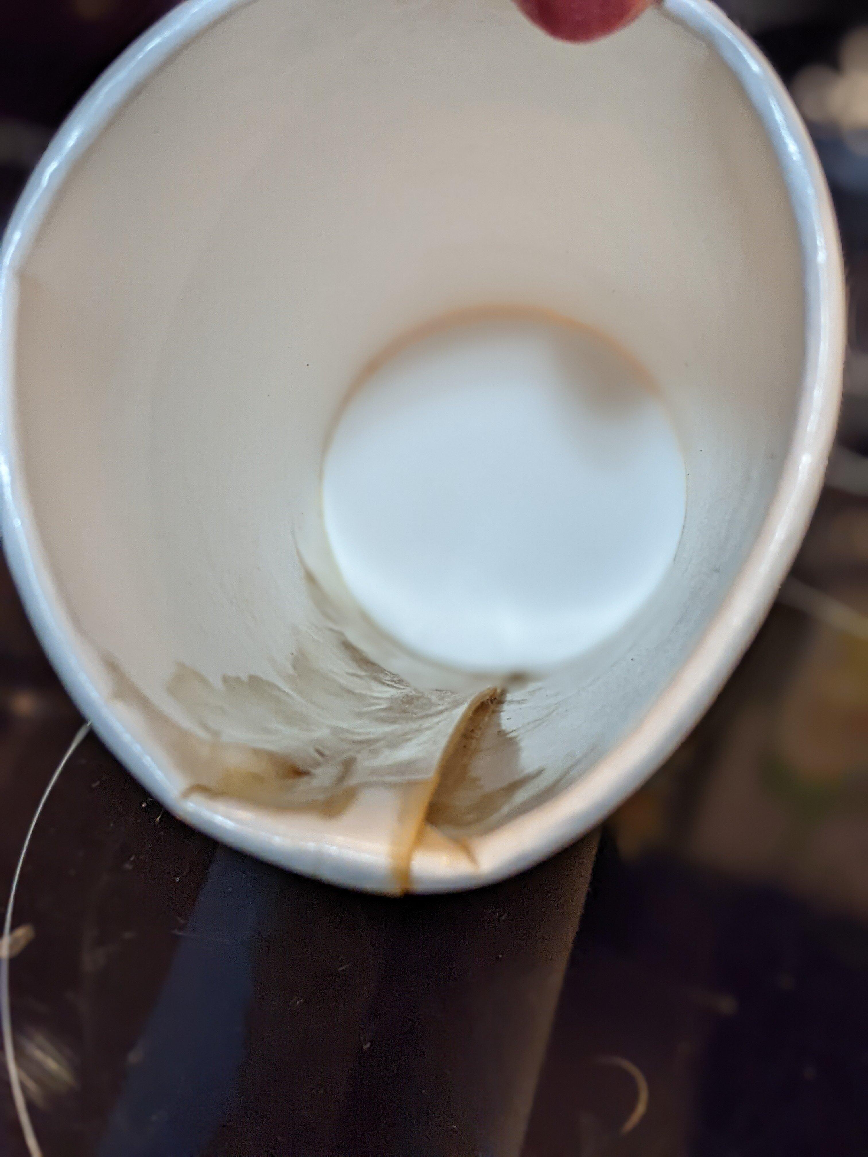 Windsor Breads Bakery & Coffeehouse