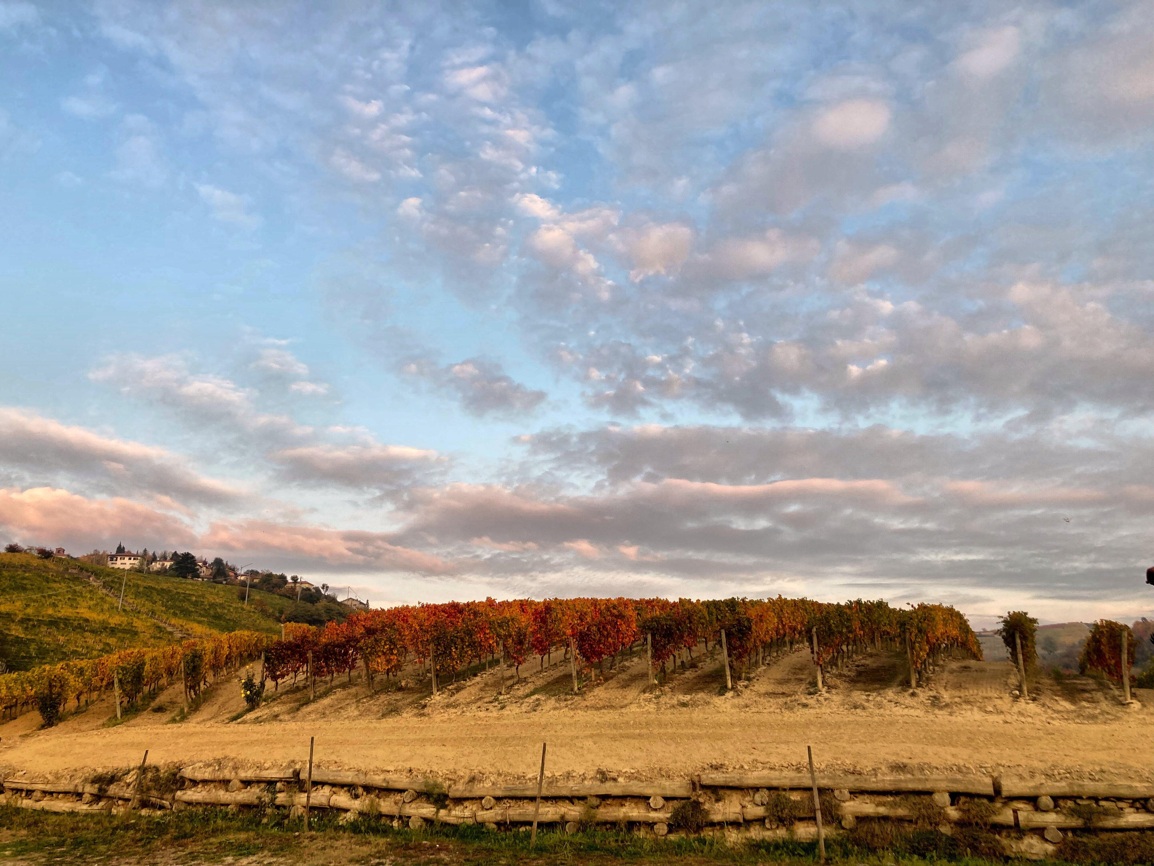 Azienda Agrituristica Lo Sprin
