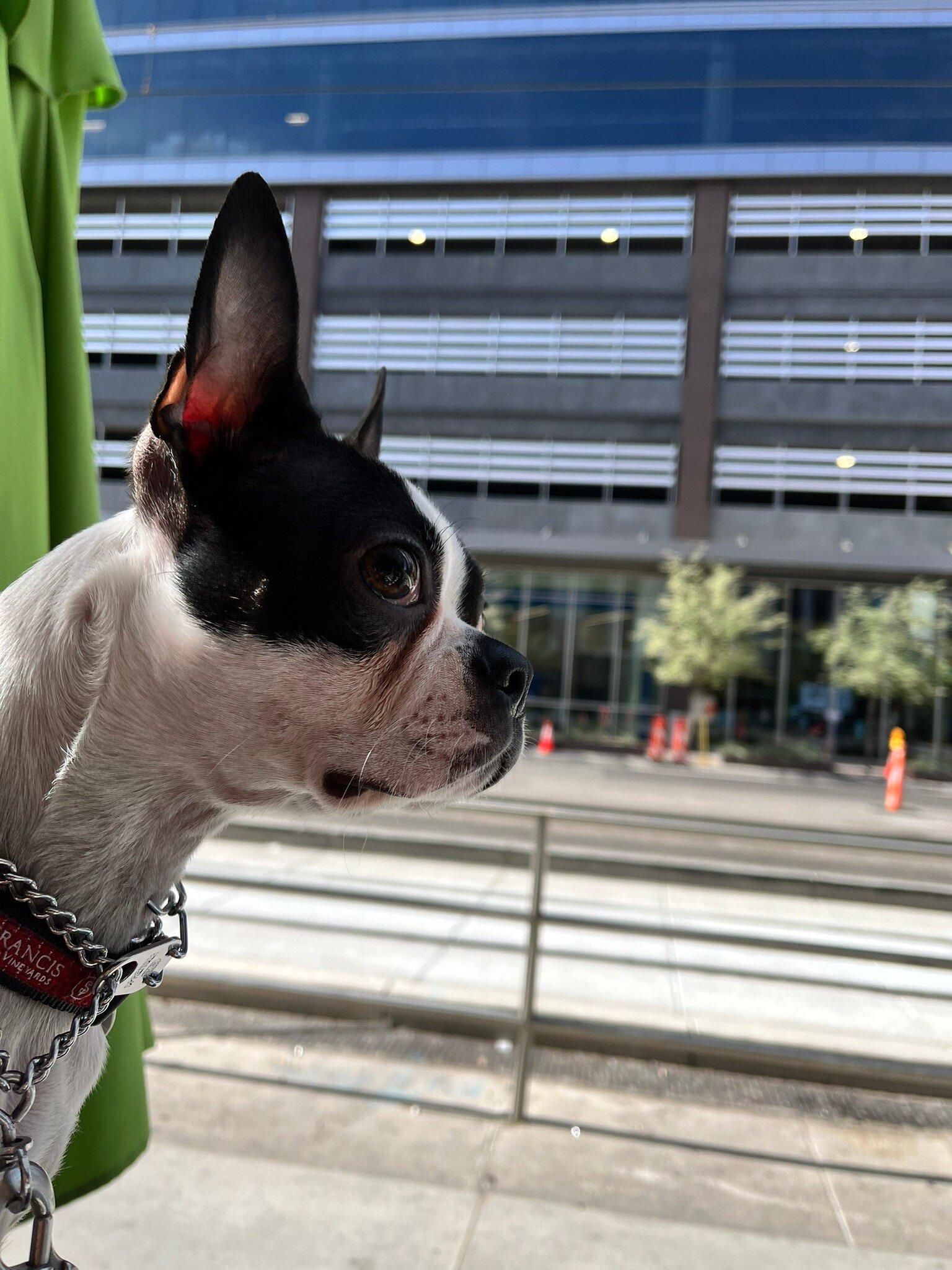 Photo by jimdL4099TF