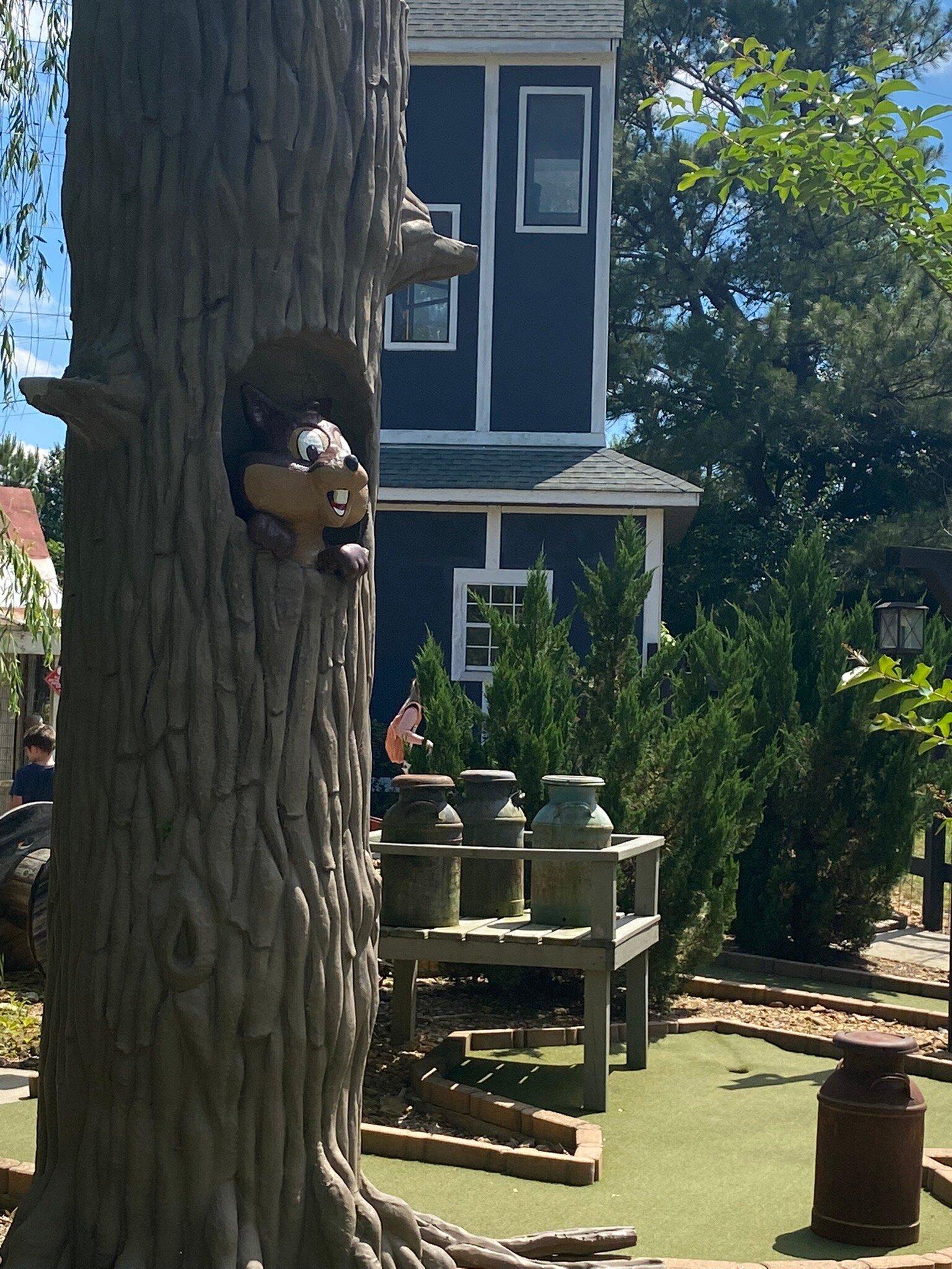 Photo by IrishNorton