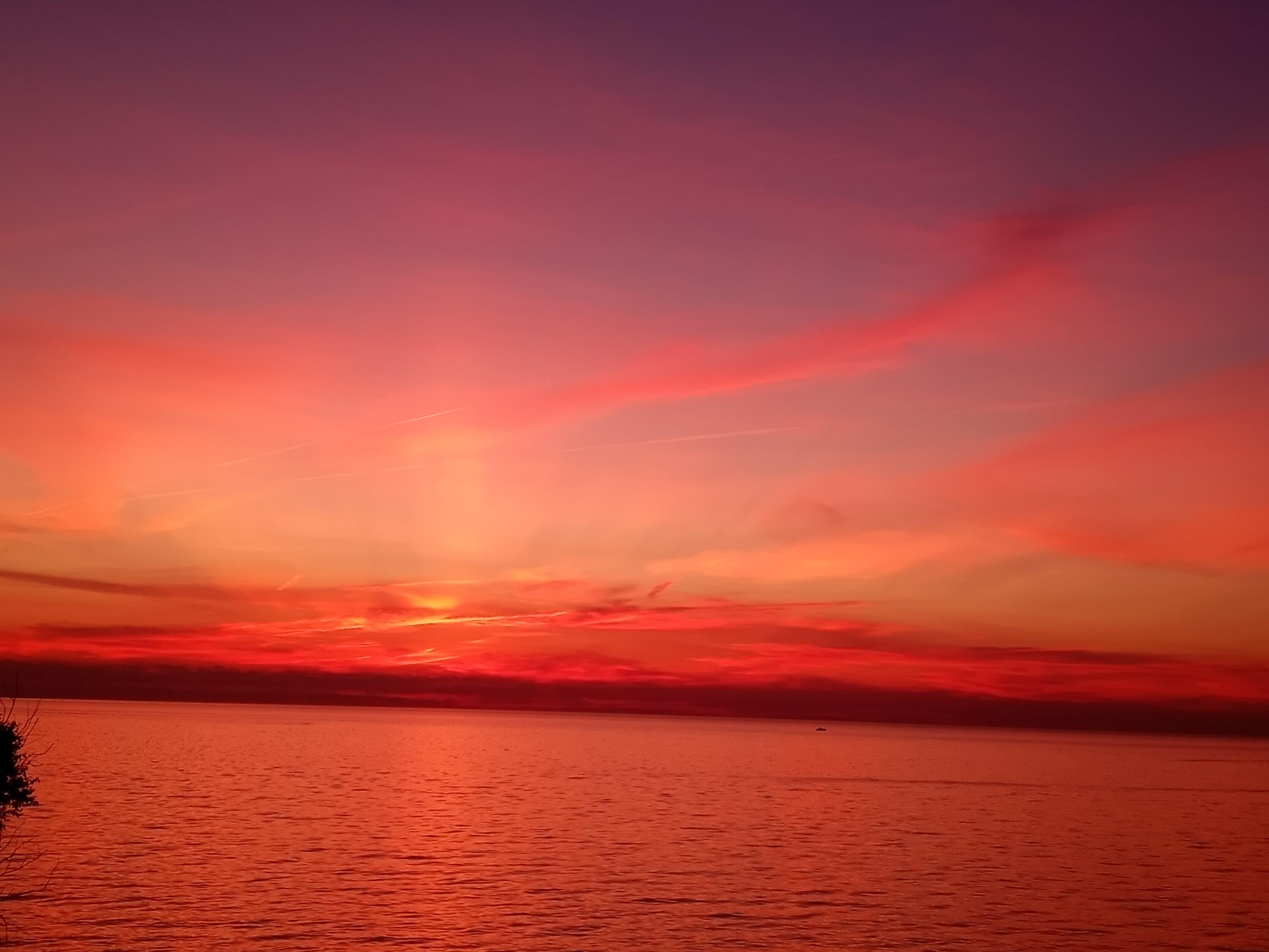 Photo by colleendI8326DH