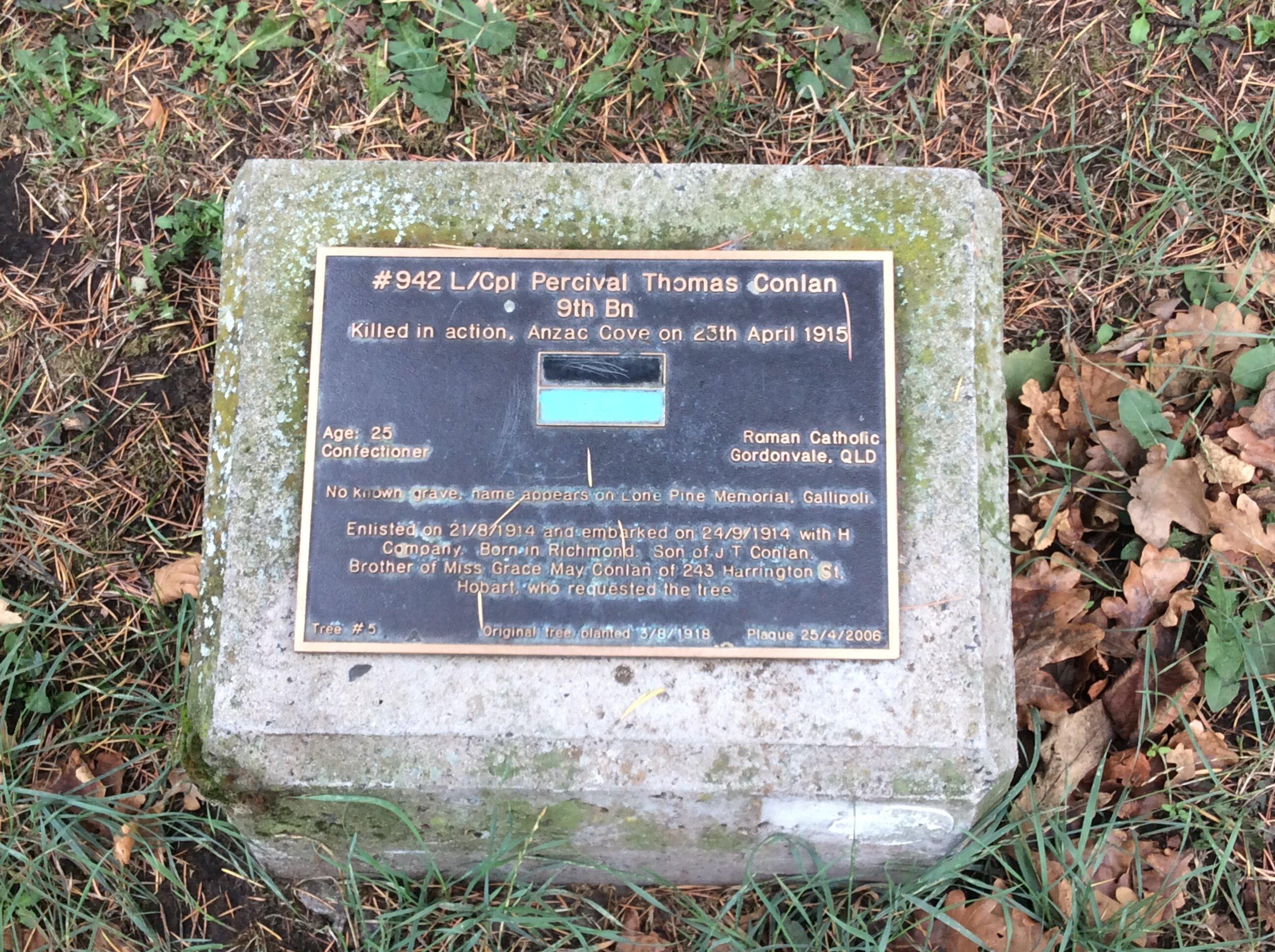 Soldier's Memorial Avenue