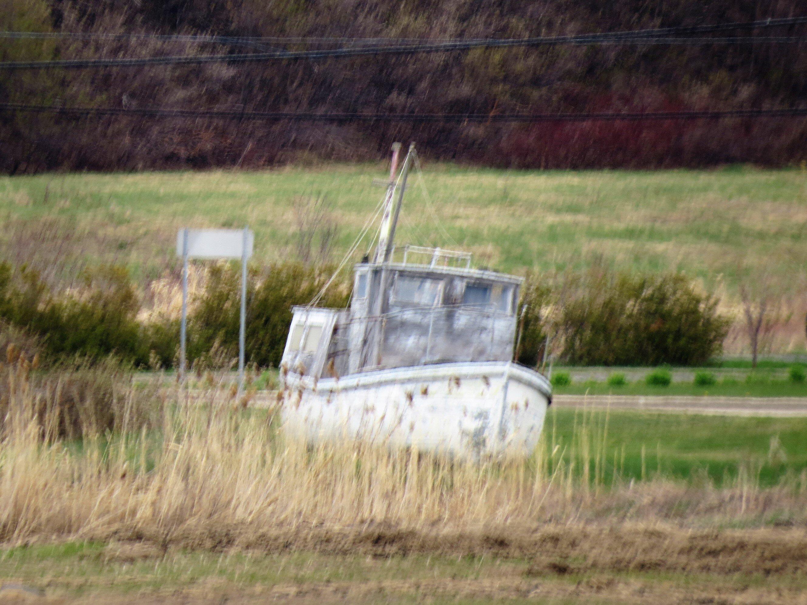 Photo by Michel_Louise_2013