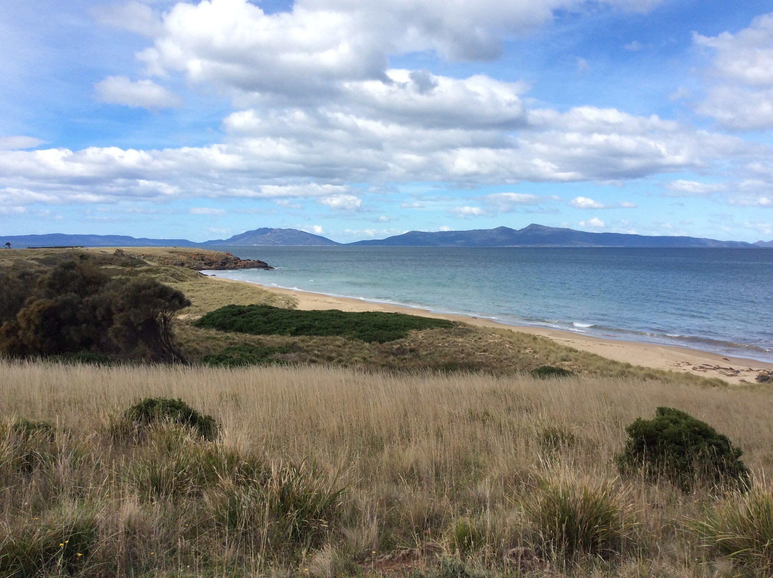 Cressy Beach Conservation Area
