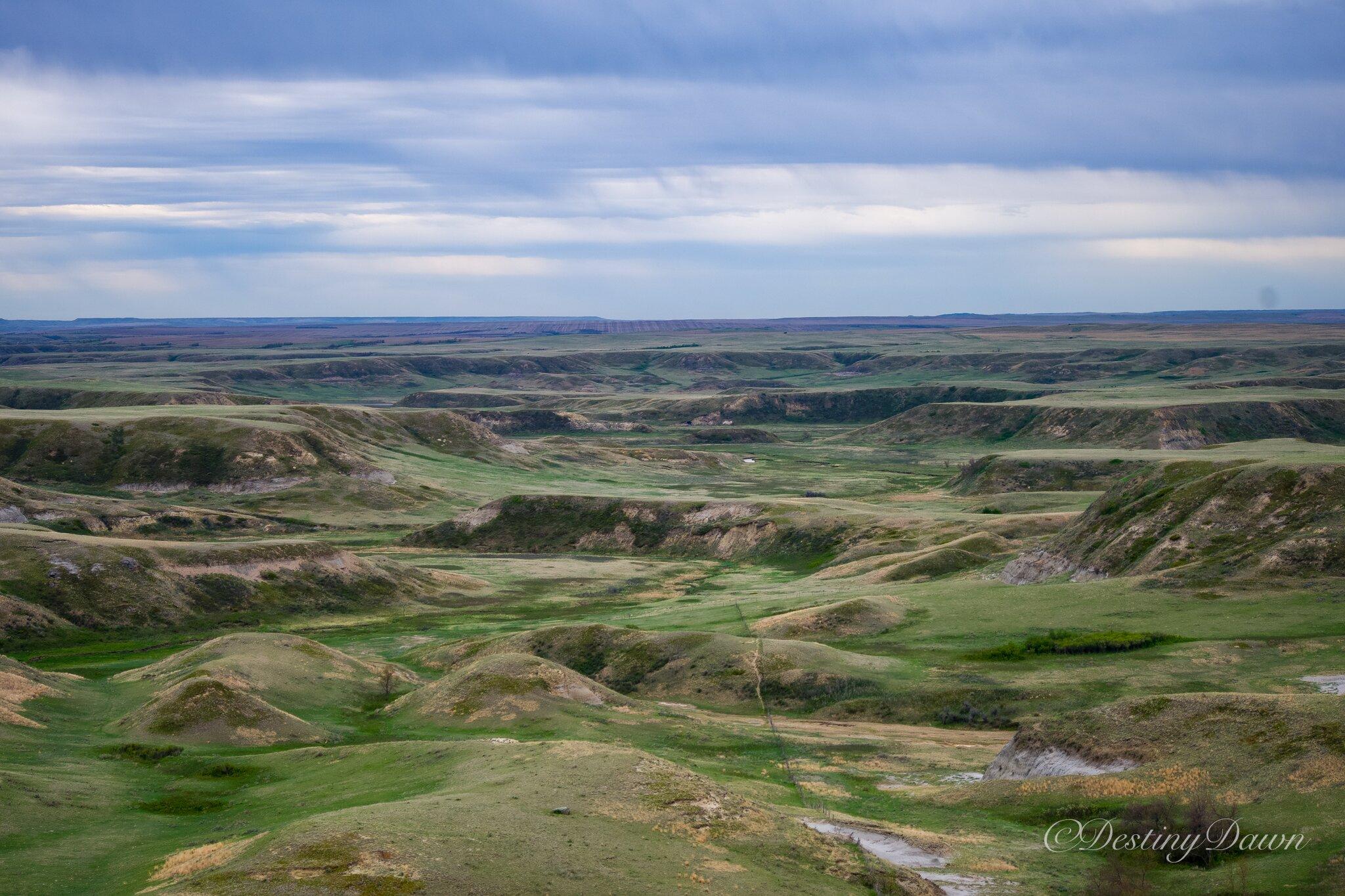 Big Muddy Badlands