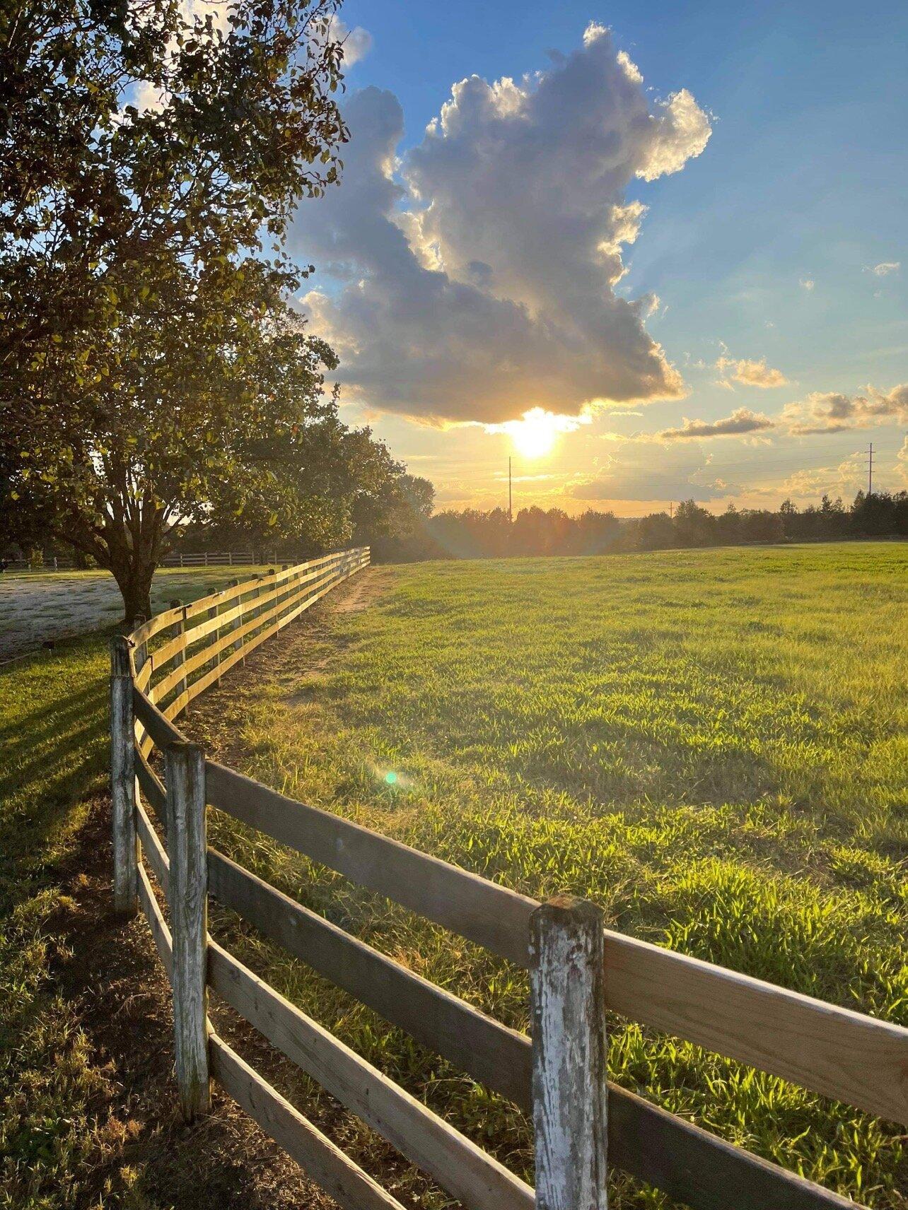 Liberty Stables and Saddle Club