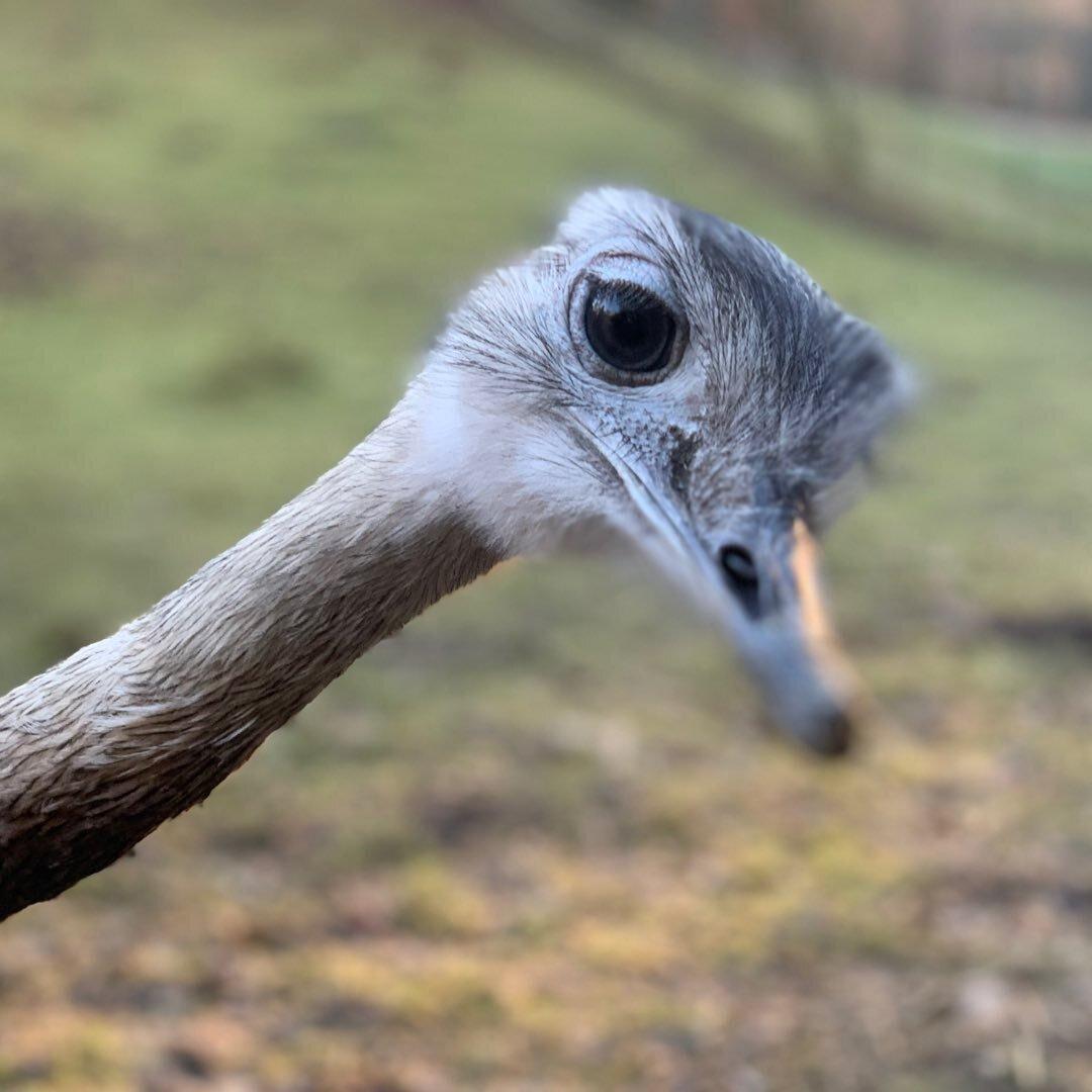 Vogel- und Tierpark Abensberg