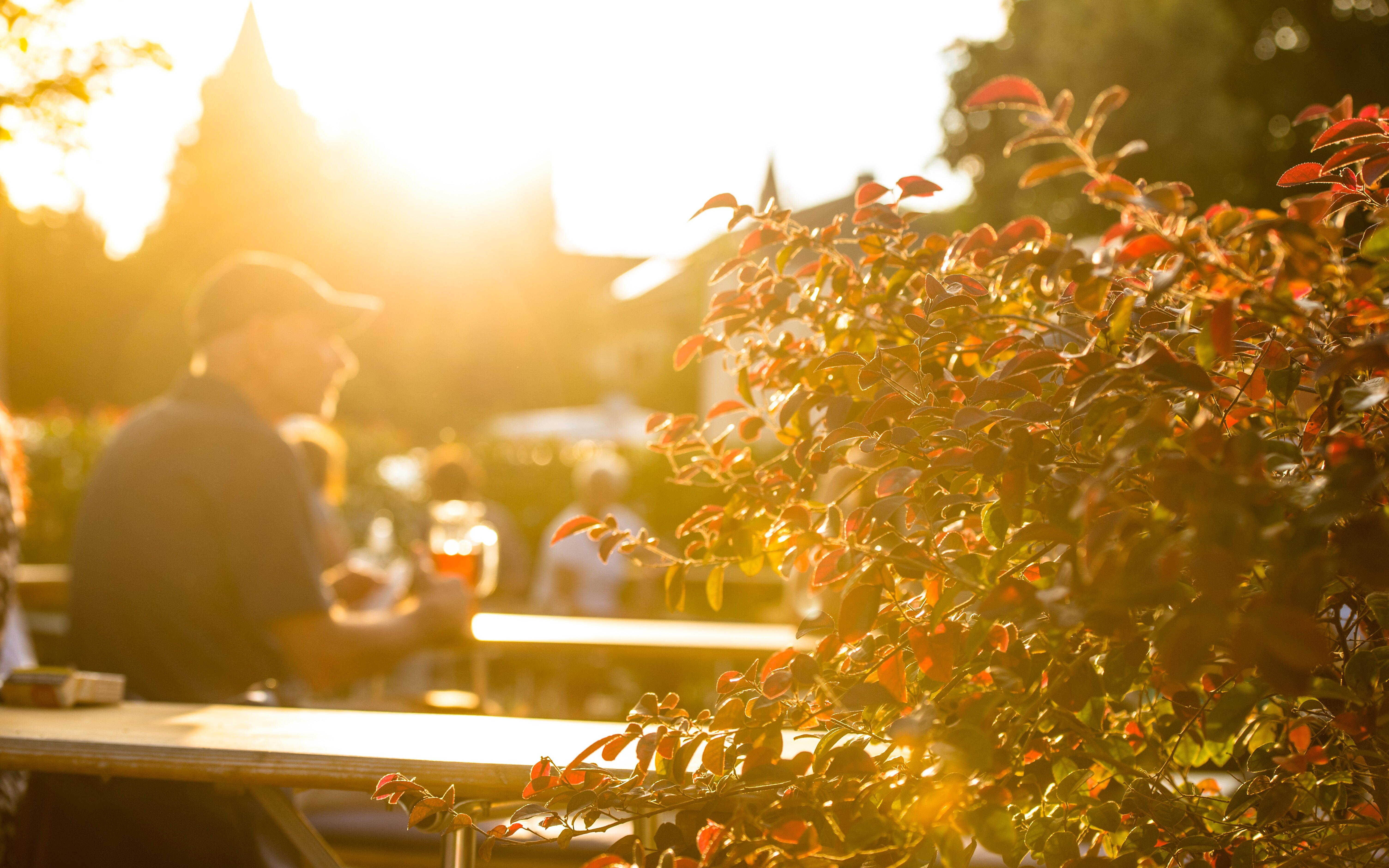 DENKMALz - Biergarten