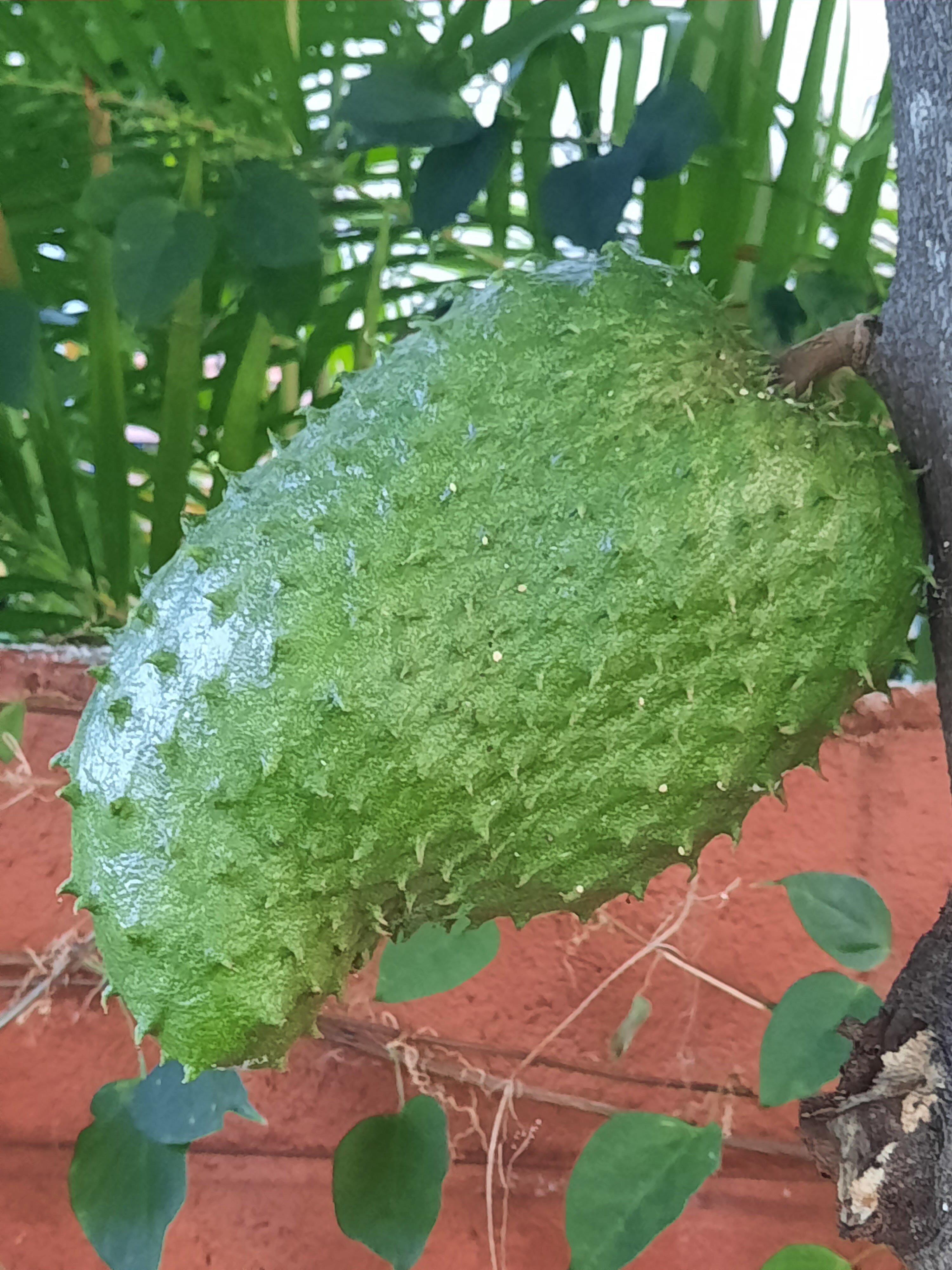 Photo by francoislO5899OJ