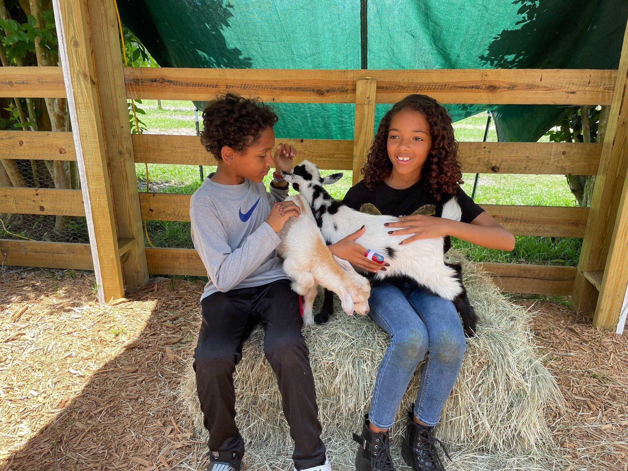 Rooterville Animal Sanctuary