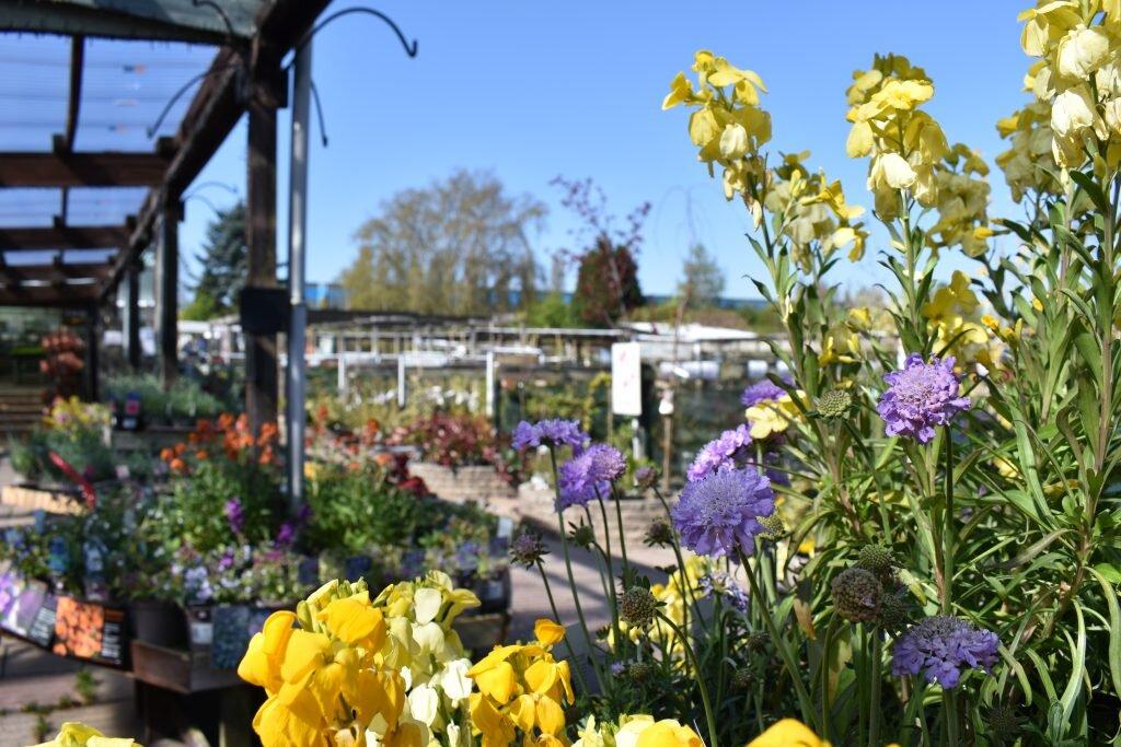 Grasmere Garden Centre