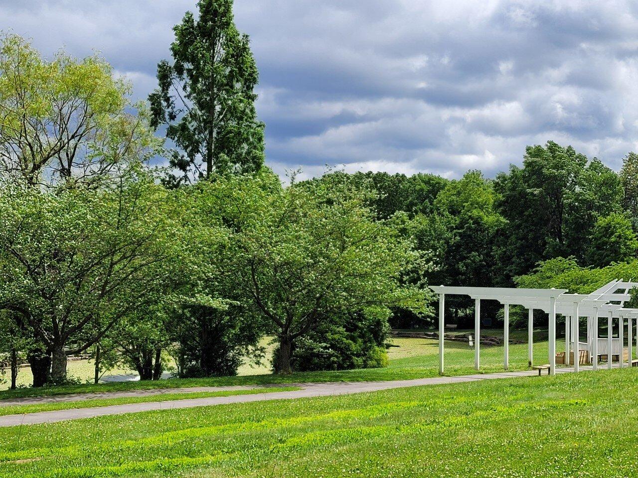 Photo by SeniorLadyLiz