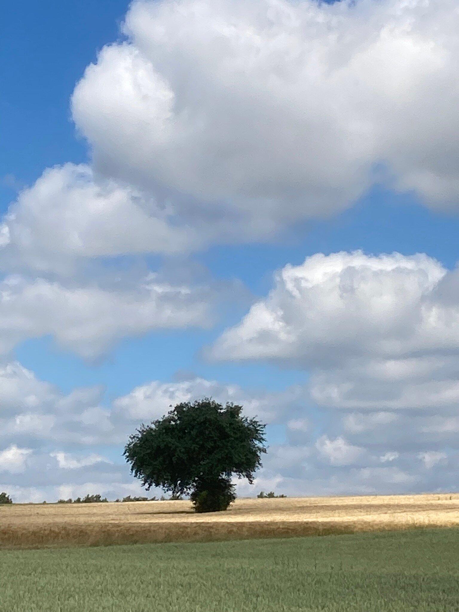 Naherholungsgebiet Kainachtal